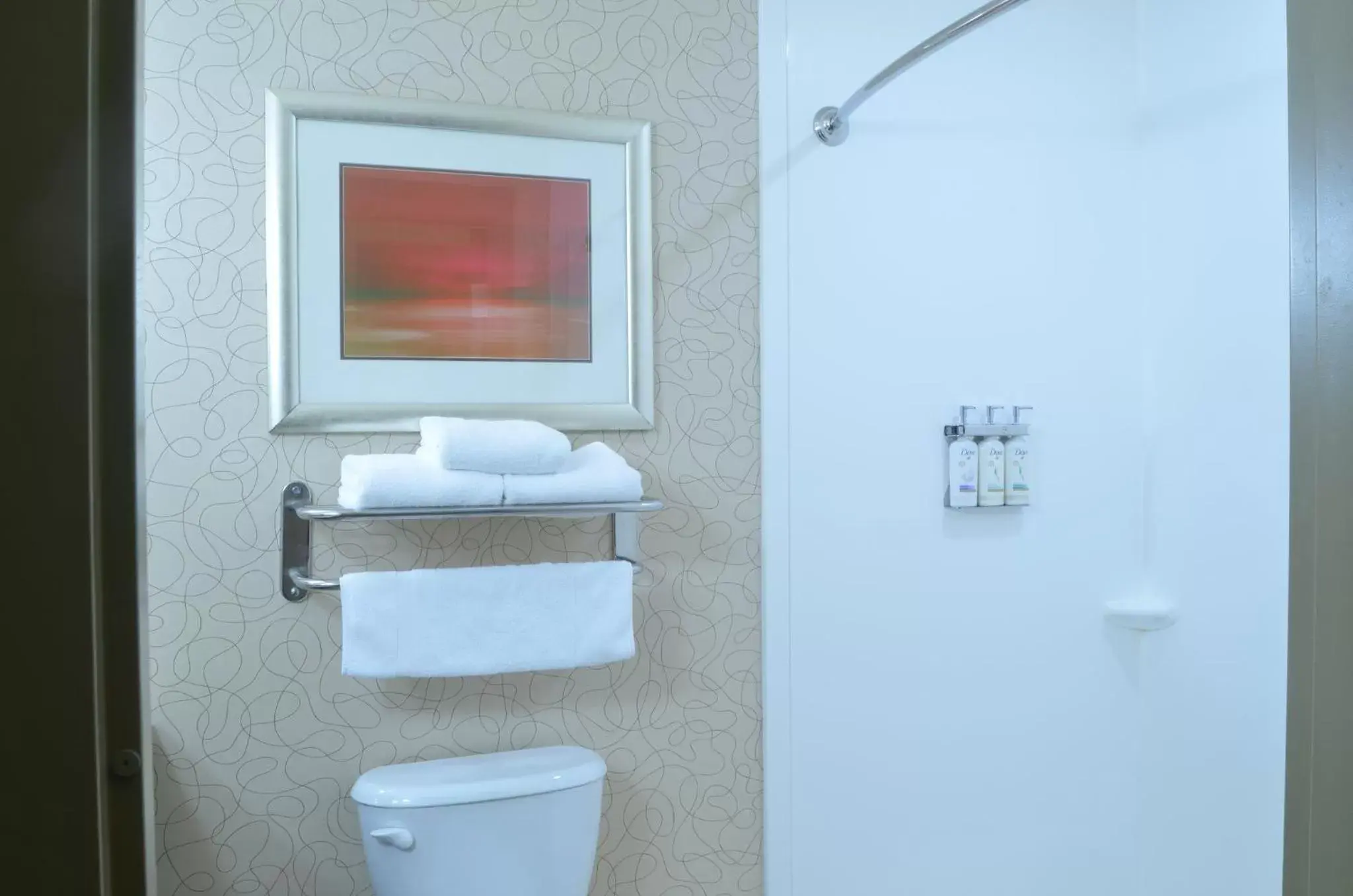 Bathroom in Holiday Inn Birmingham - Hoover, an IHG Hotel