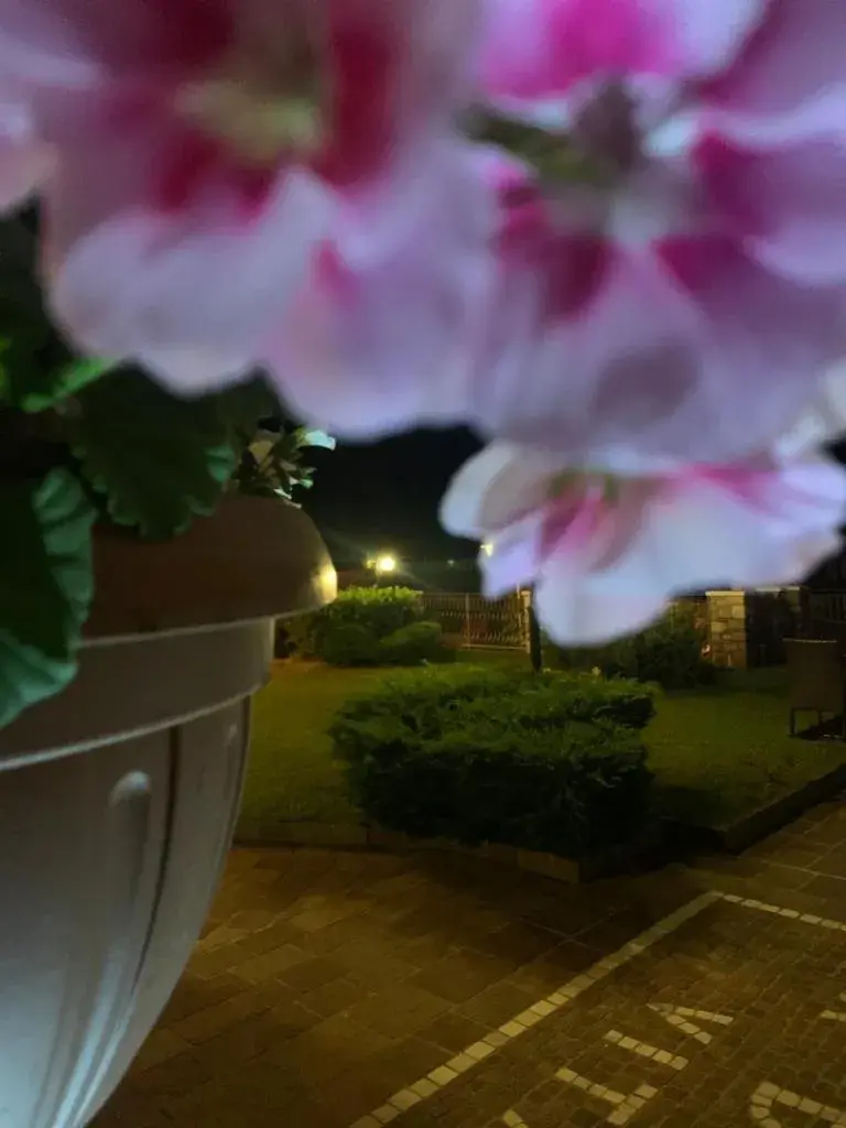 Garden in T'ami Hotel Resort Spa
