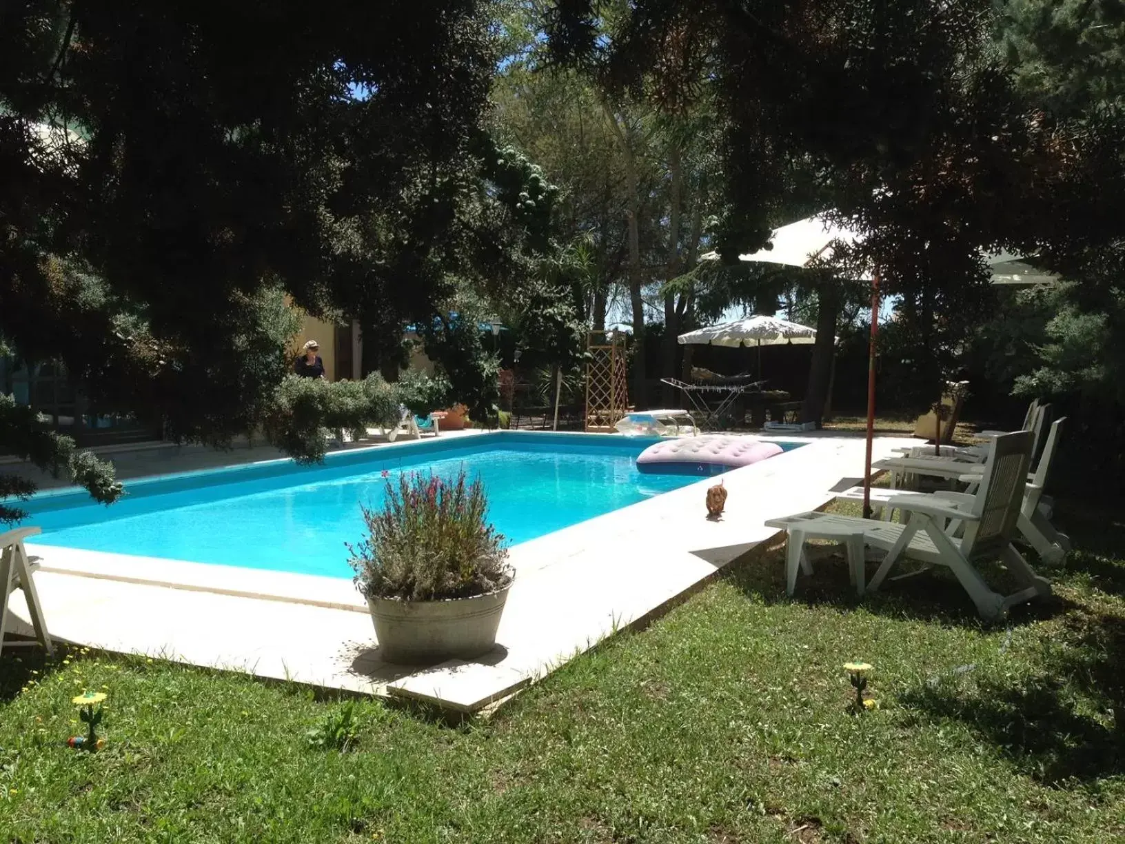 Swimming Pool in B&B Rollo Garden