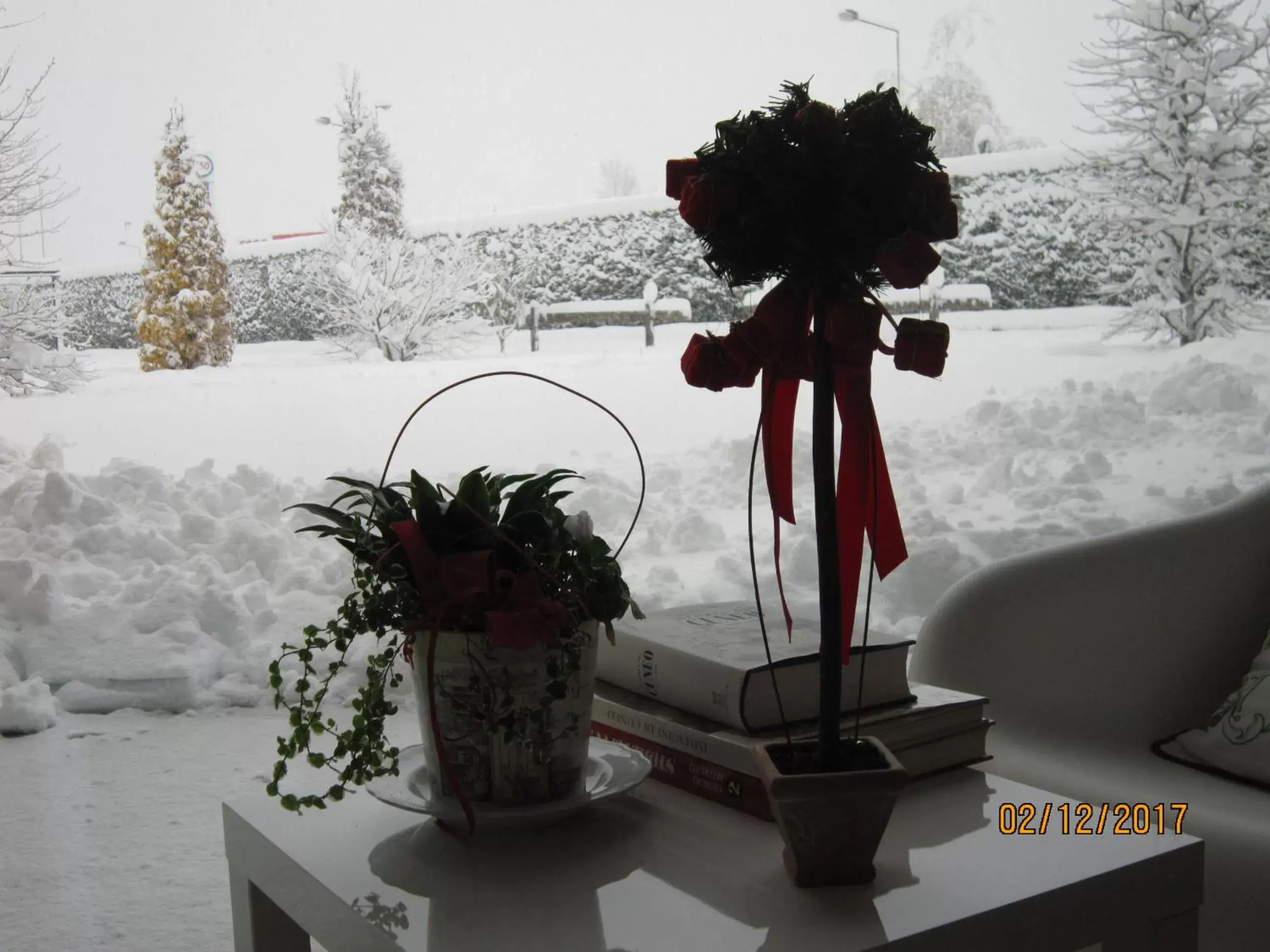 Garden, Winter in Casa Torre Allera