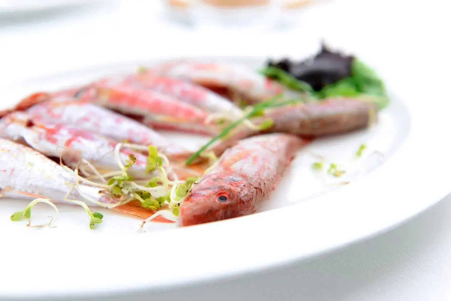 Food close-up, Food in Hotel Cala Del Porto