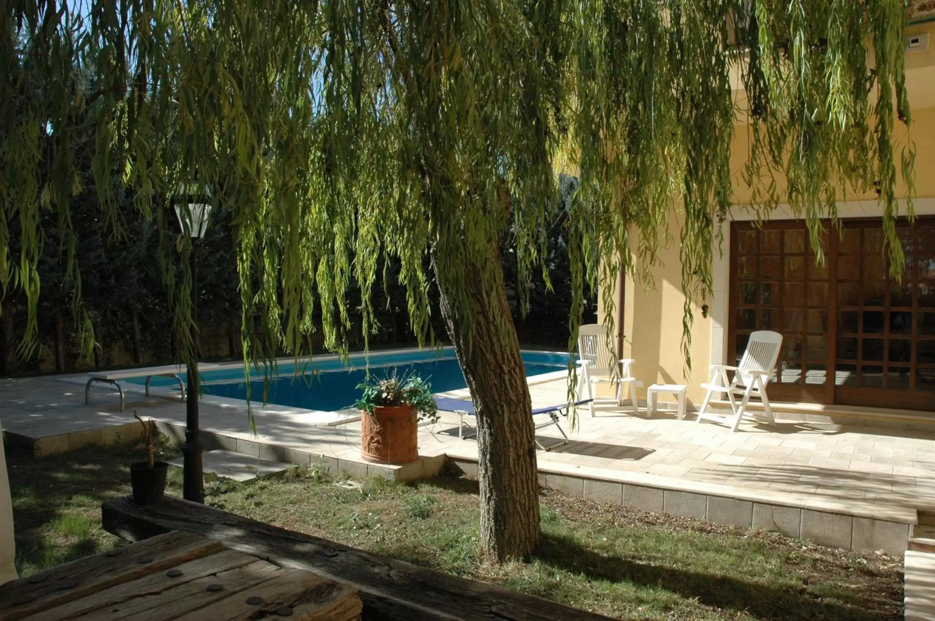 Decorative detail, Swimming Pool in B&B Rollo Garden