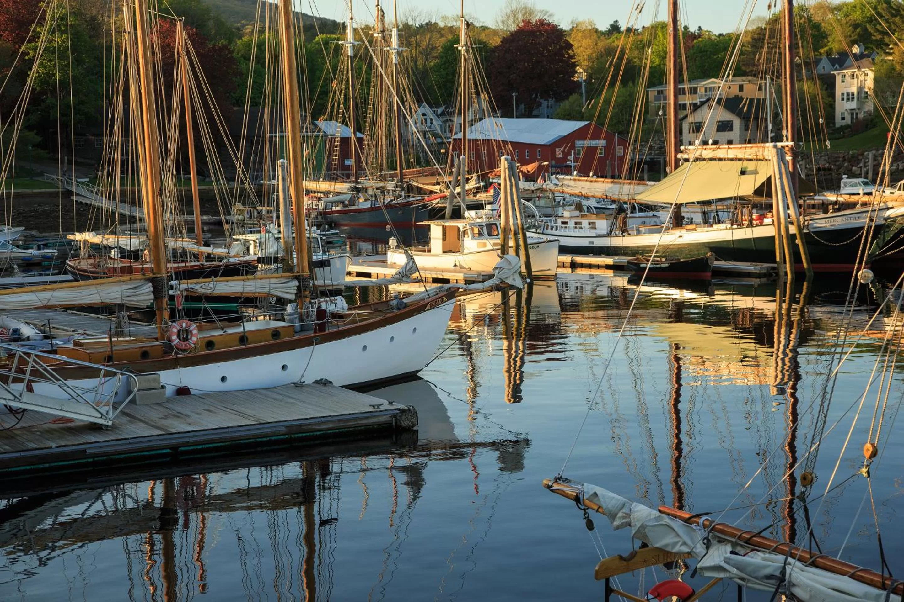 Natural landscape in 16 Bay View