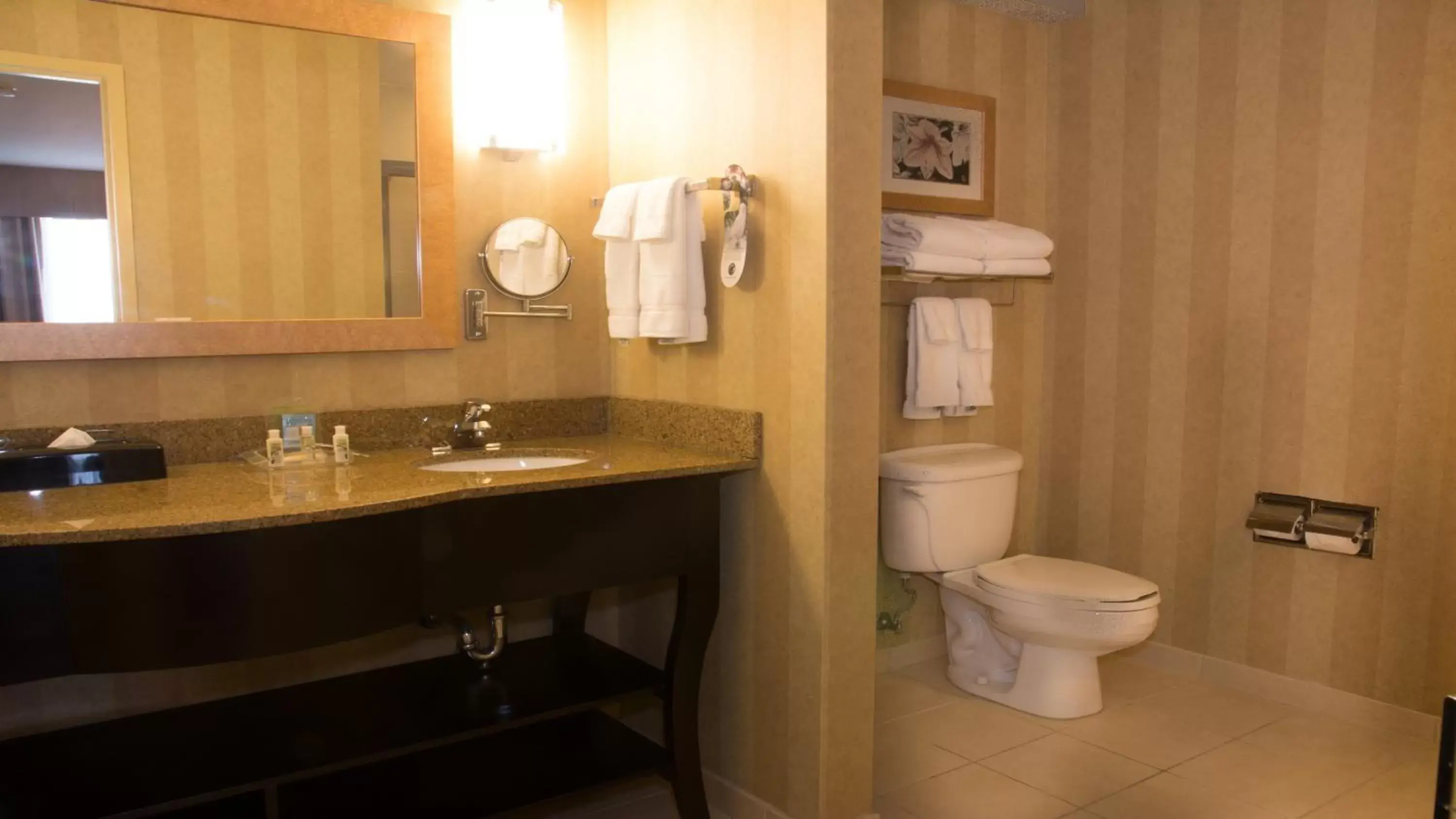 Bathroom in Holiday Inn Saint Louis-Fairview Heights, an IHG Hotel