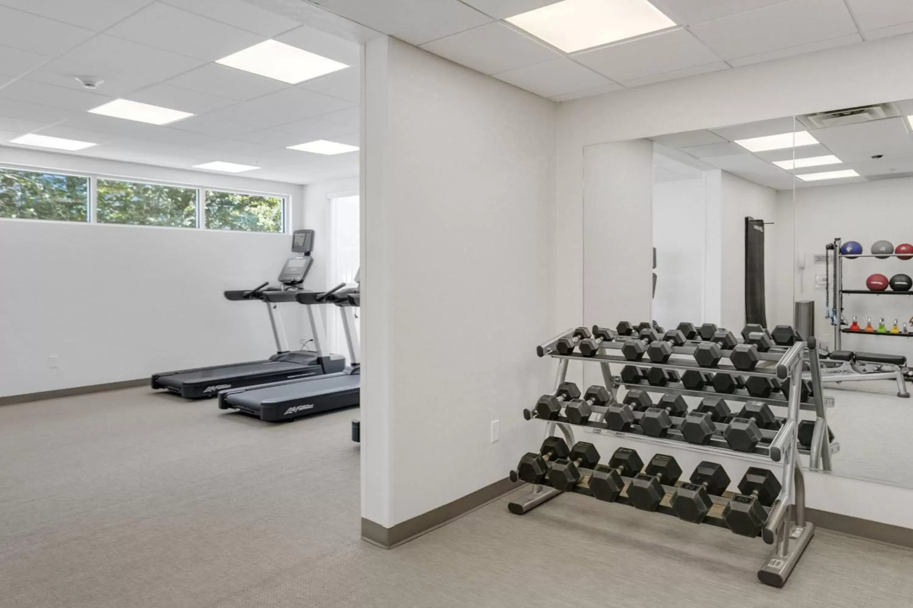 Fitness centre/facilities, Fitness Center/Facilities in SpringHill Suites by Marriott Sacramento Natomas