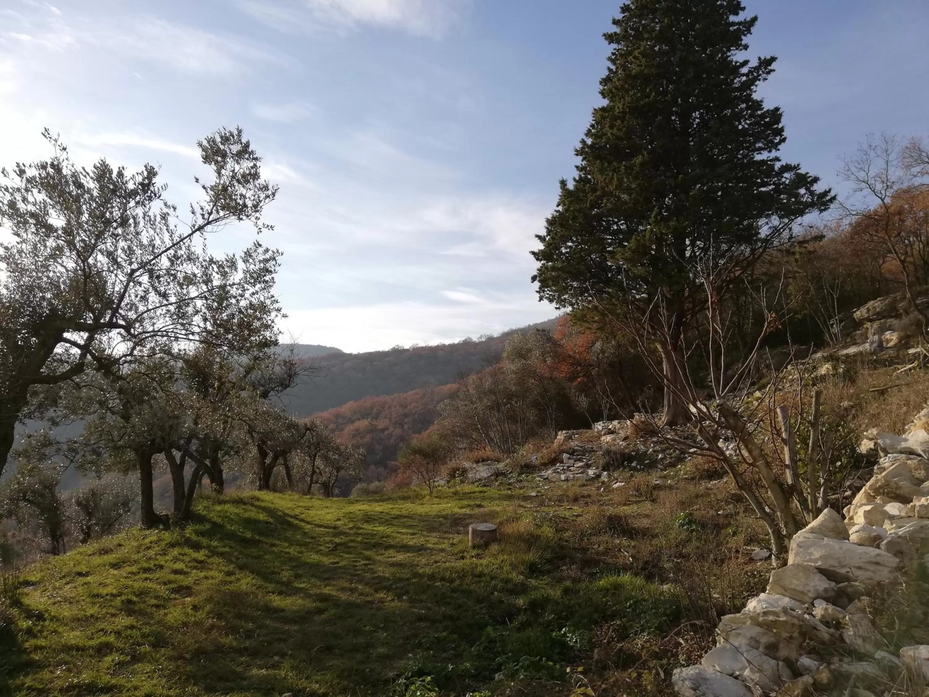 Agriturismo CasaMatta Azienda Agricola