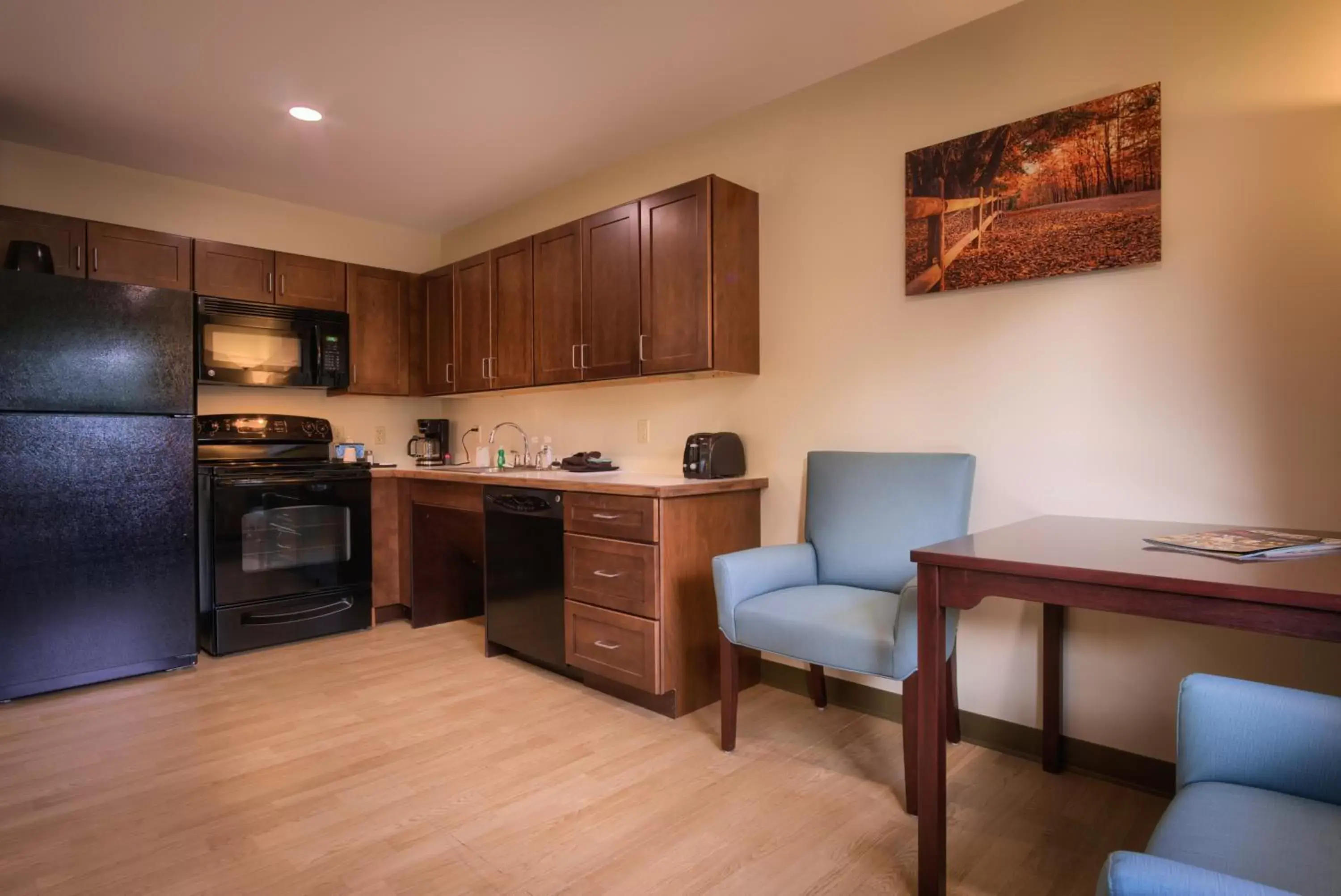 Kitchen or kitchenette, Kitchen/Kitchenette in Sun & Ski Inn and Suites