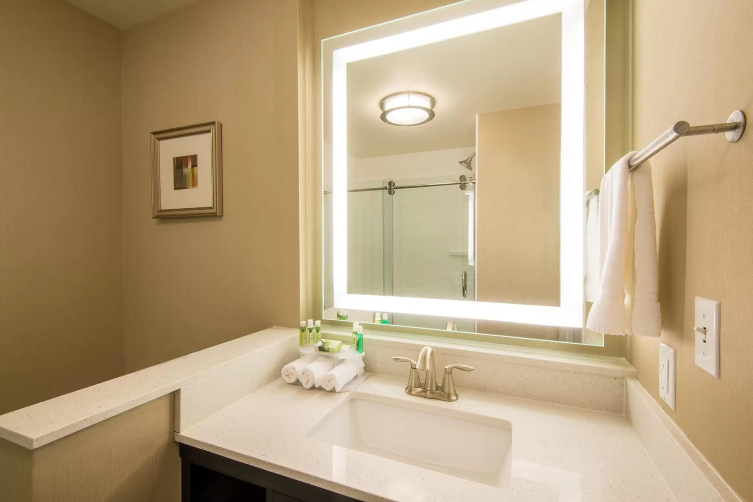 Standard King Room with Hearing Accessible Shower - Non-Smoking in Holiday Inn Express & Suites Denver South - Castle Rock, an IHG Hotel Standard King Room with Hearing Accessible Shower - Non-Smoking in Holiday Inn Express & Suites Denver South - Castle Rock, an IHG Hotel