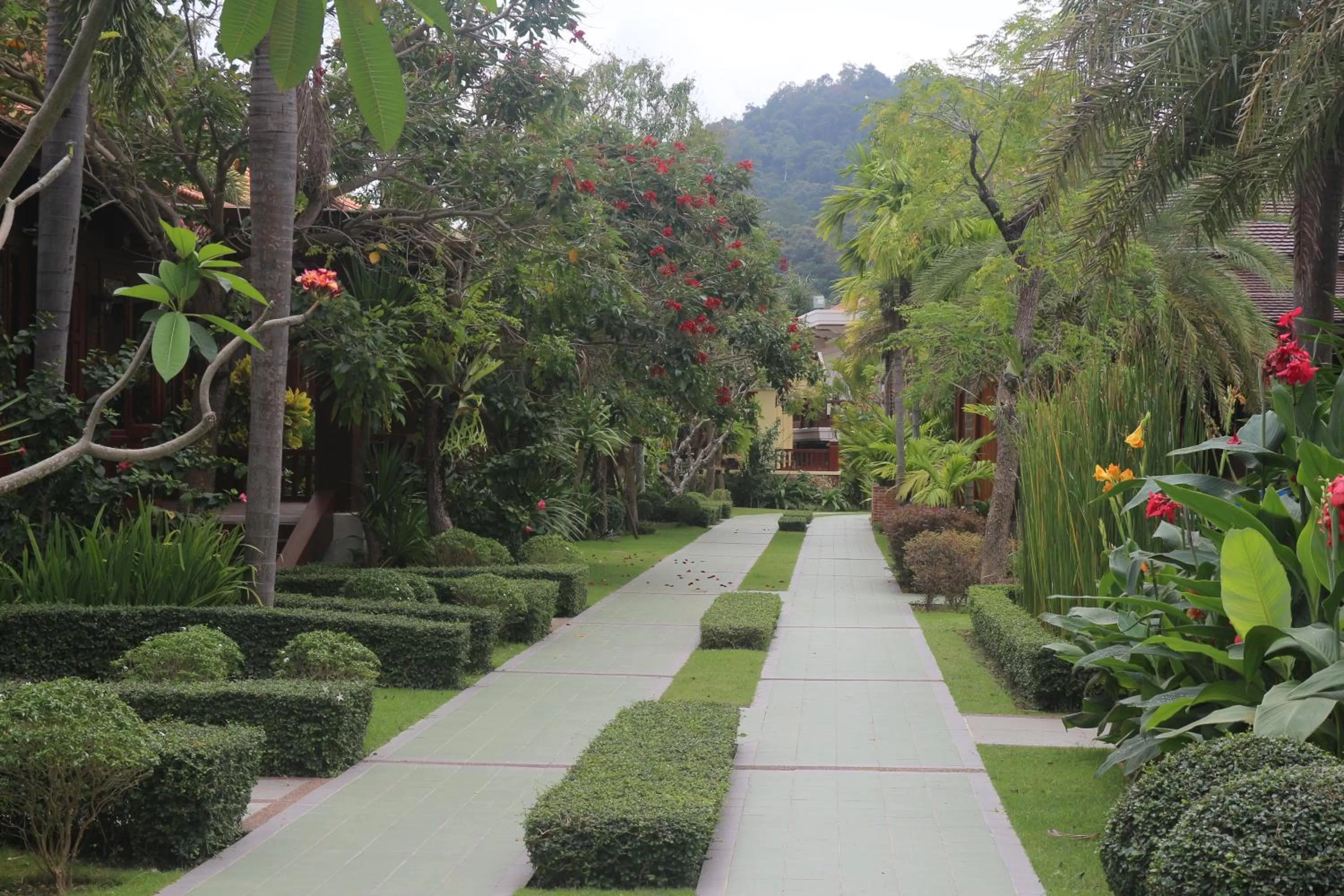Garden in Try Palace Resort Kep
