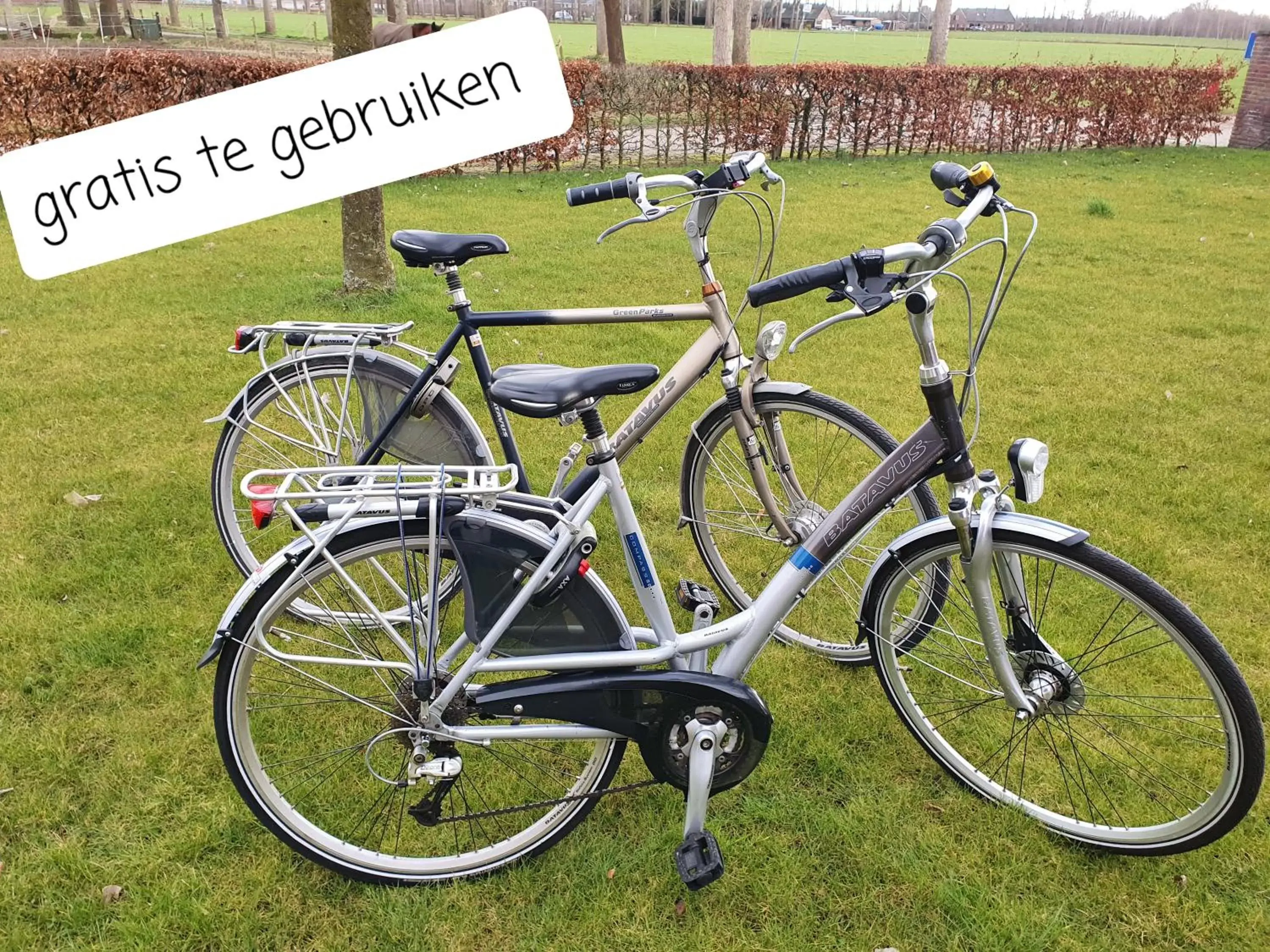 Biking in B & B de Stok