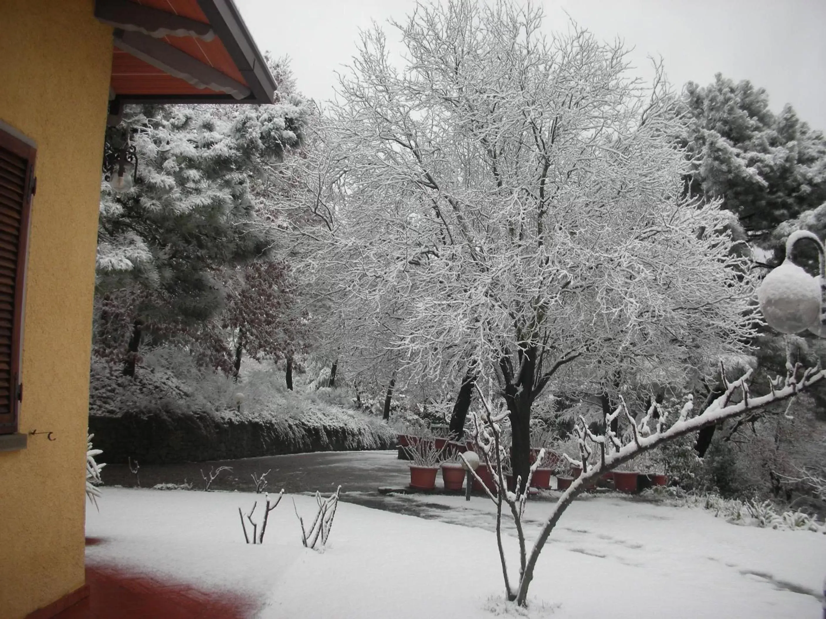 Winter in Villaspino