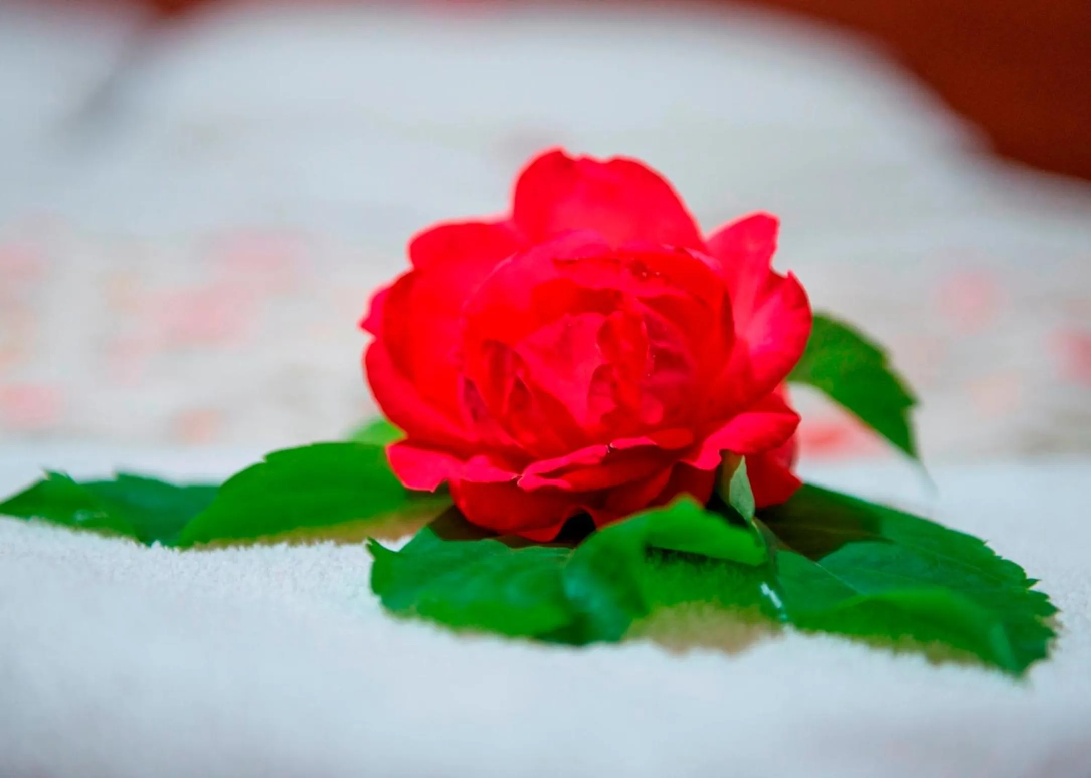 Bedroom in Han Dalyan Hotel
