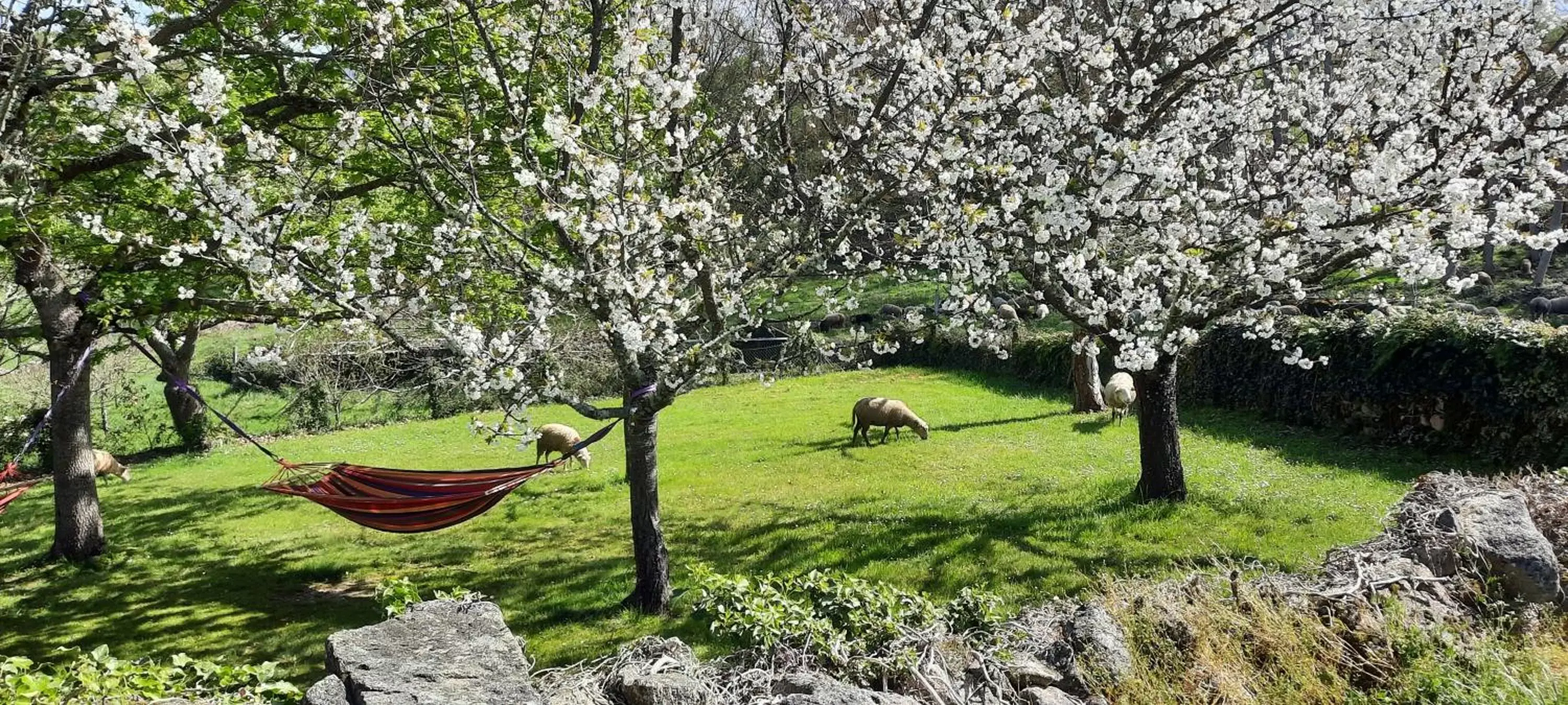 Spring, Garden in Rectoral de Anllo
