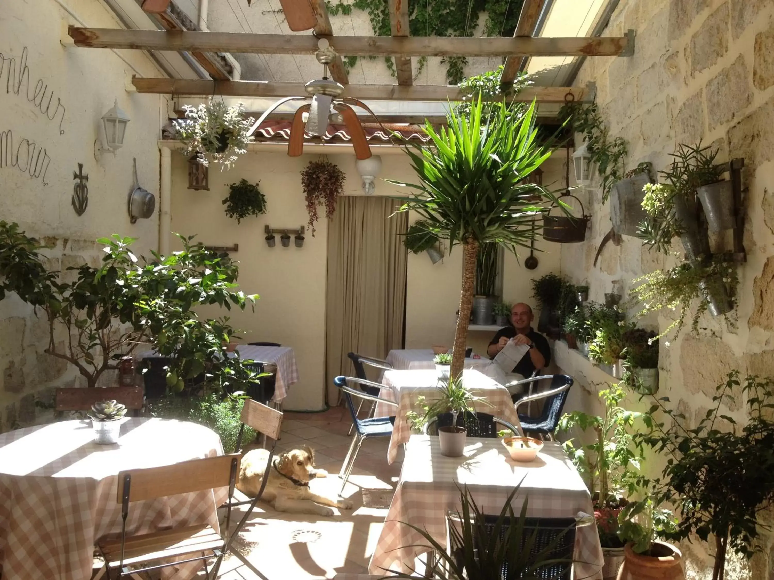 Balcony/Terrace, Restaurant/Places to Eat in Hôtel Restaurant Le Provençal