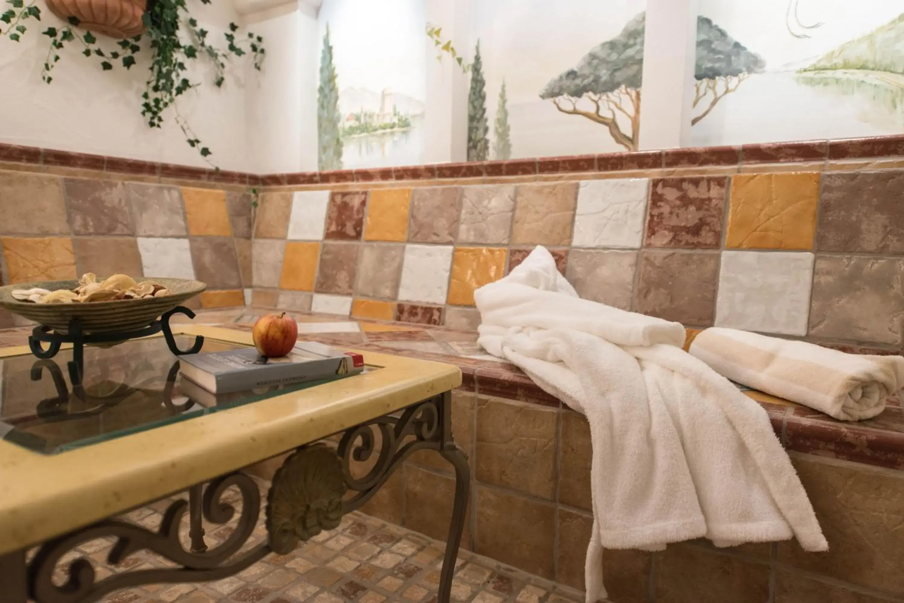 Spa and wellness centre/facilities, Bathroom in Hotel Riedl