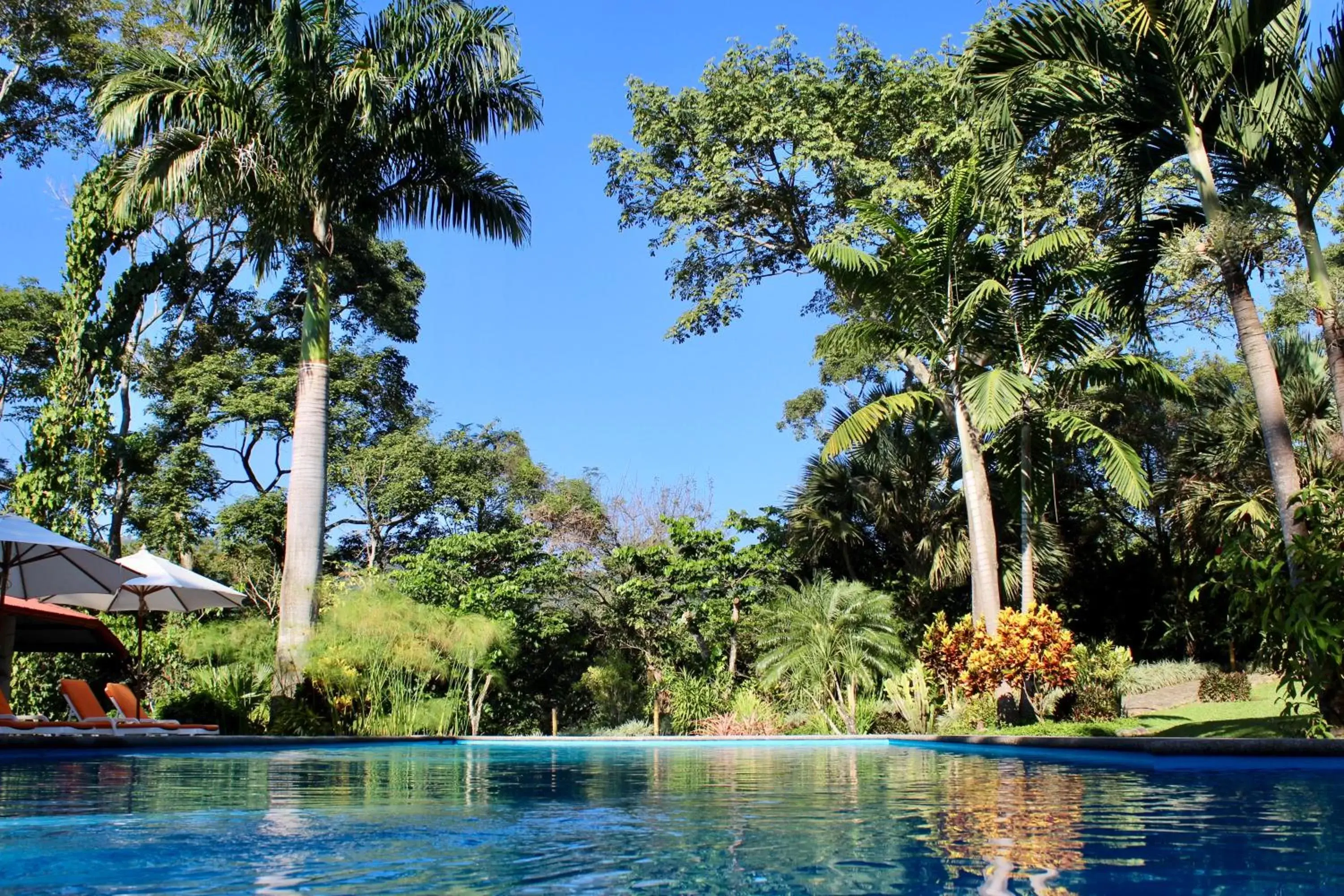 Swimming Pool in Argovia Finca Resort