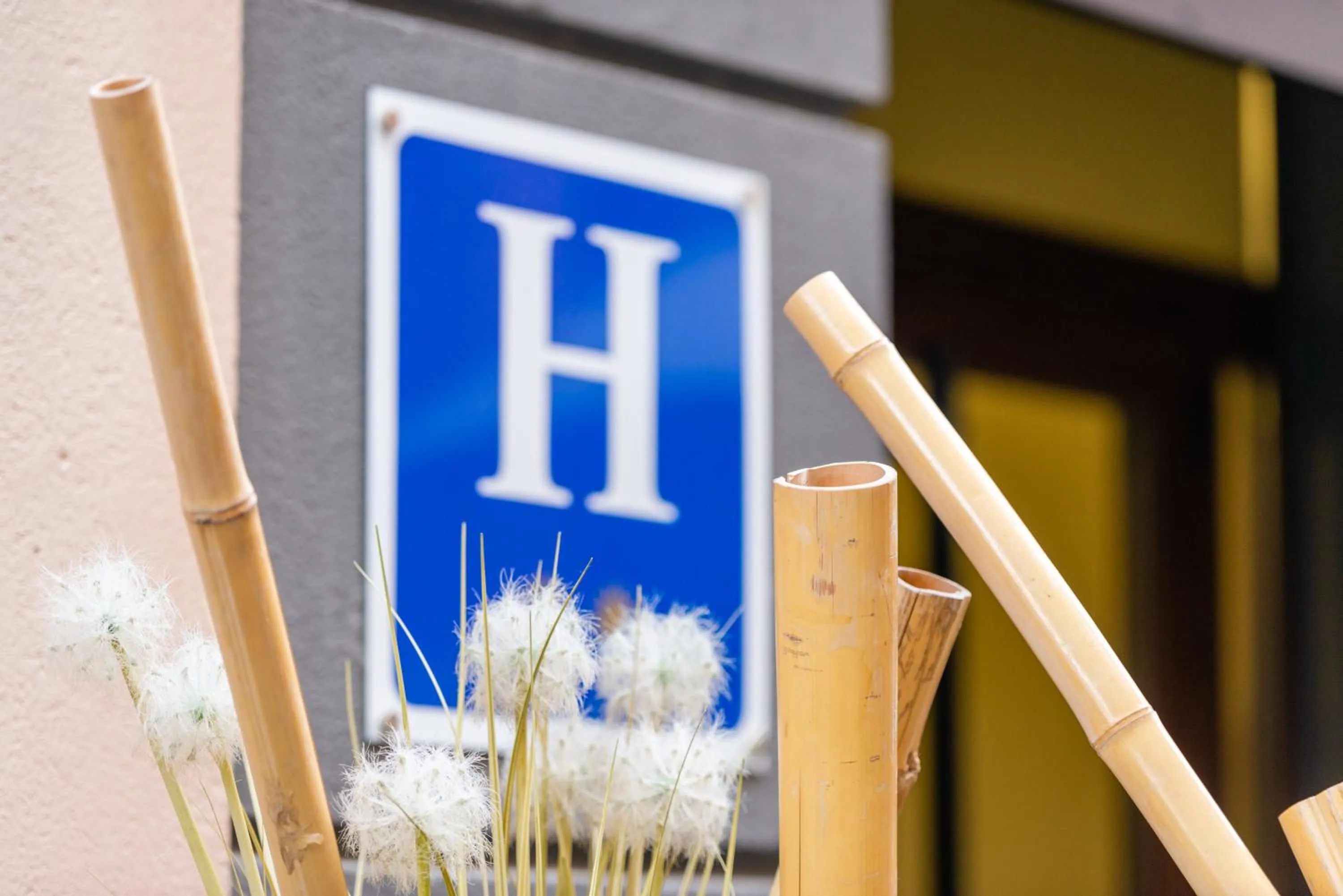 Property logo or sign in Hotel El Acebo