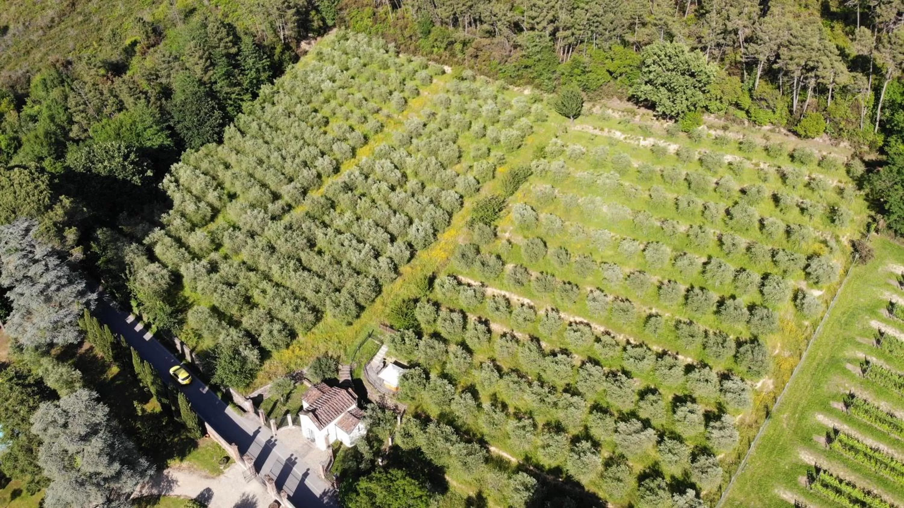 Bird's eye view in Hotel Albergo Villa Marta