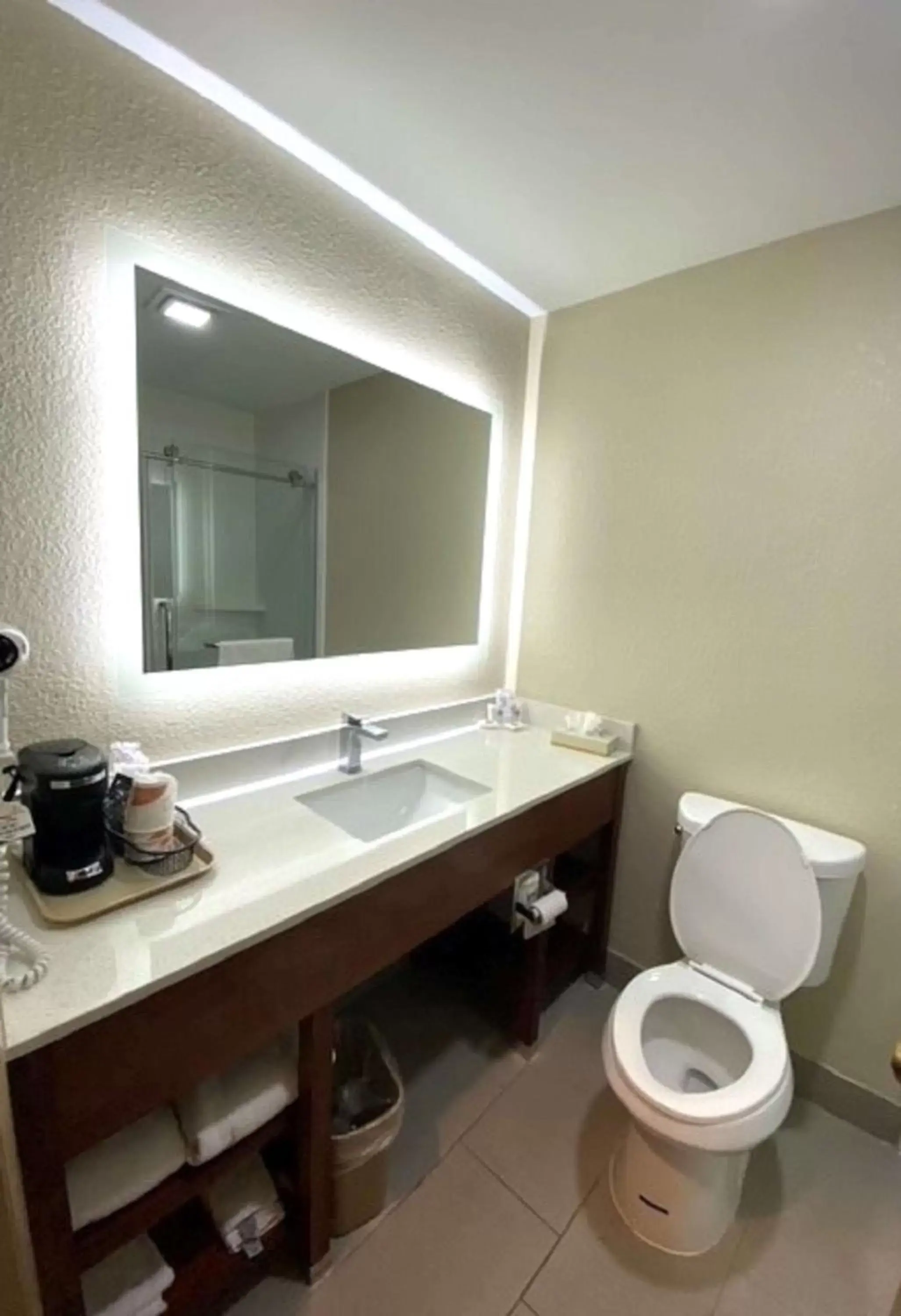 Bathroom in SureStay Plus by Best Western Reading North