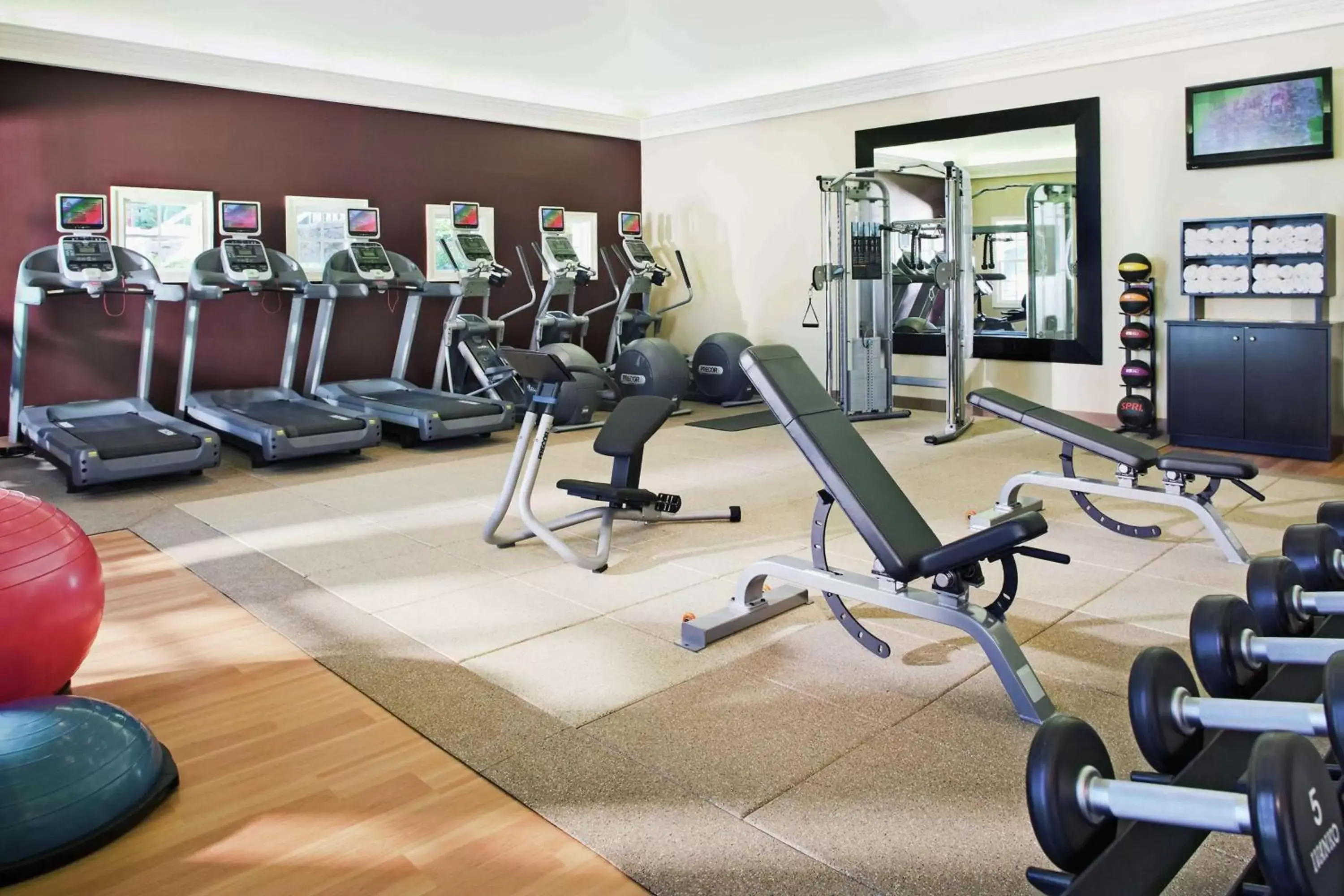Fitness centre/facilities, Fitness Center/Facilities in Hilton Grand Vacations Club SeaWorld Orlando
