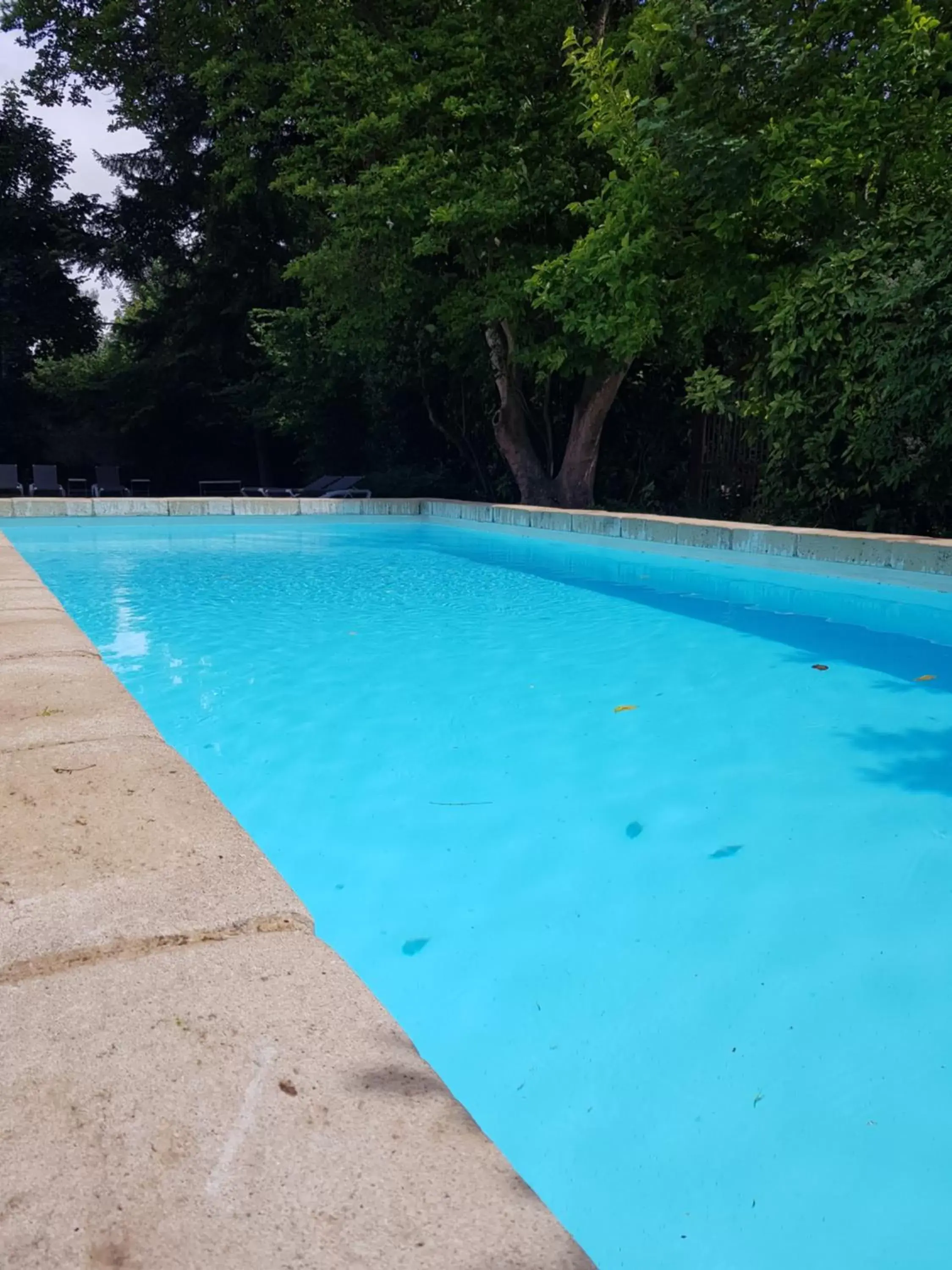 Swimming Pool in Le Clos d'Amboise