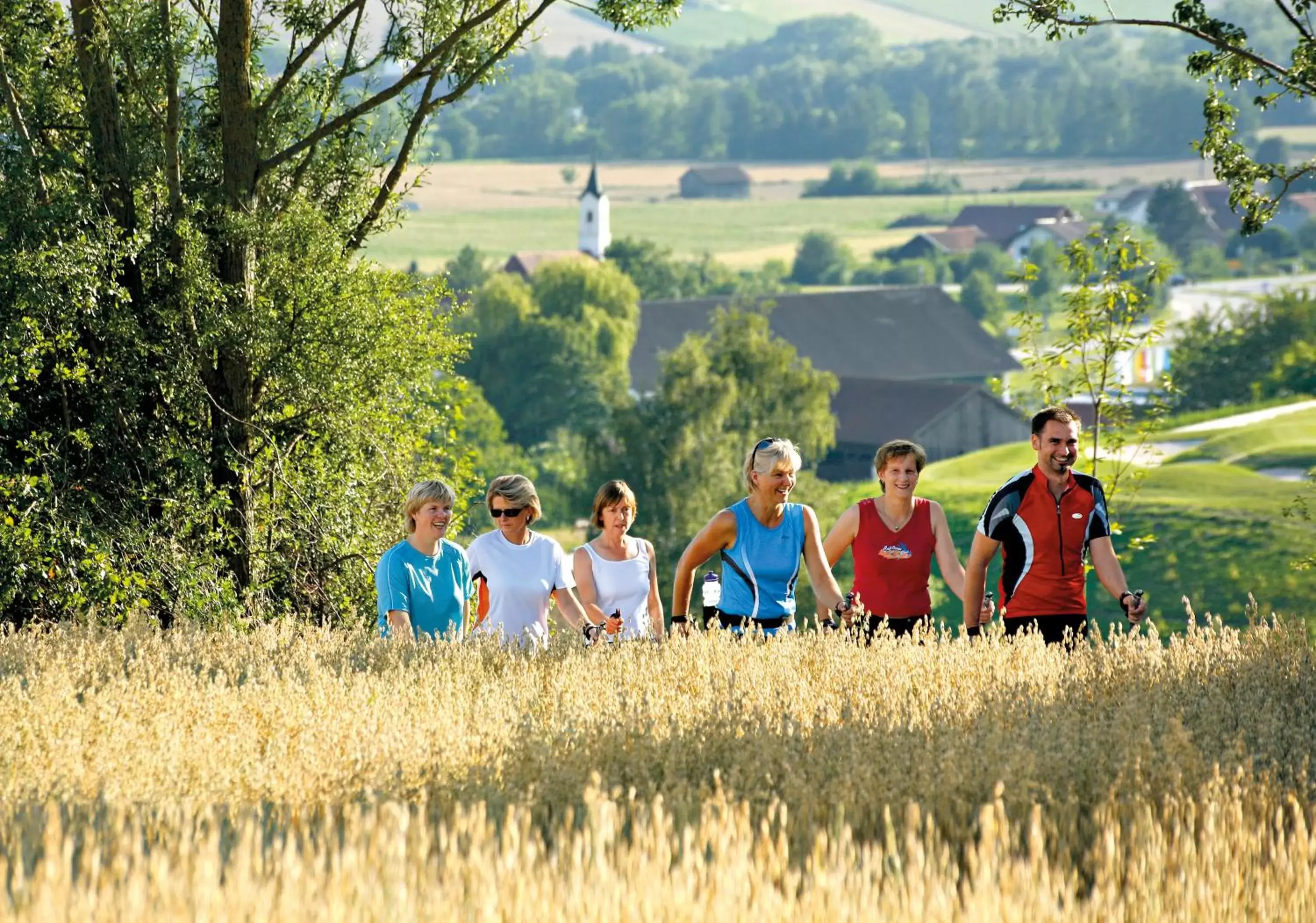 Hiking in Best Western Aparthotel Birnbachhöhe