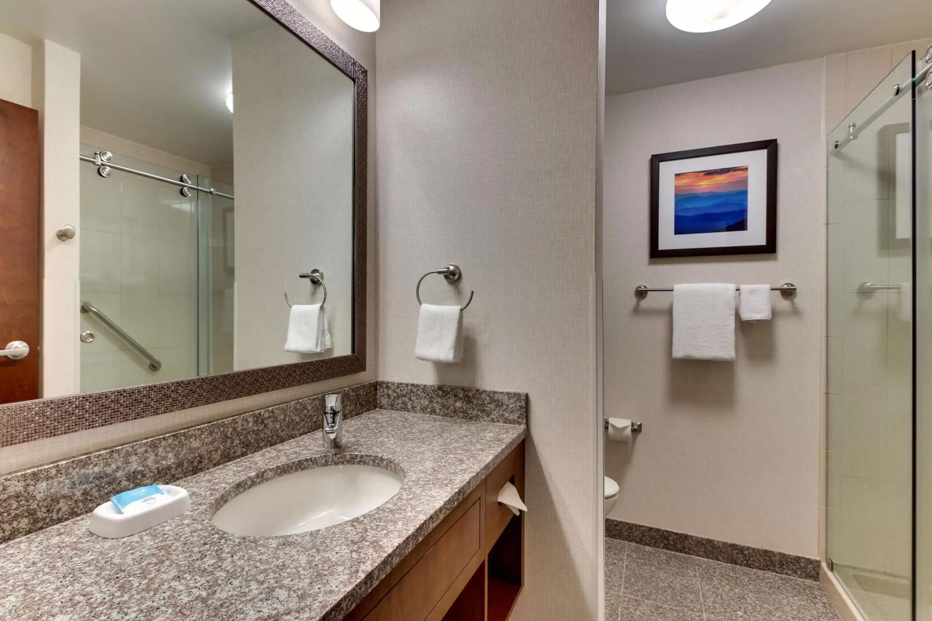 Bathroom in Drury Inn & Suites Knoxville West