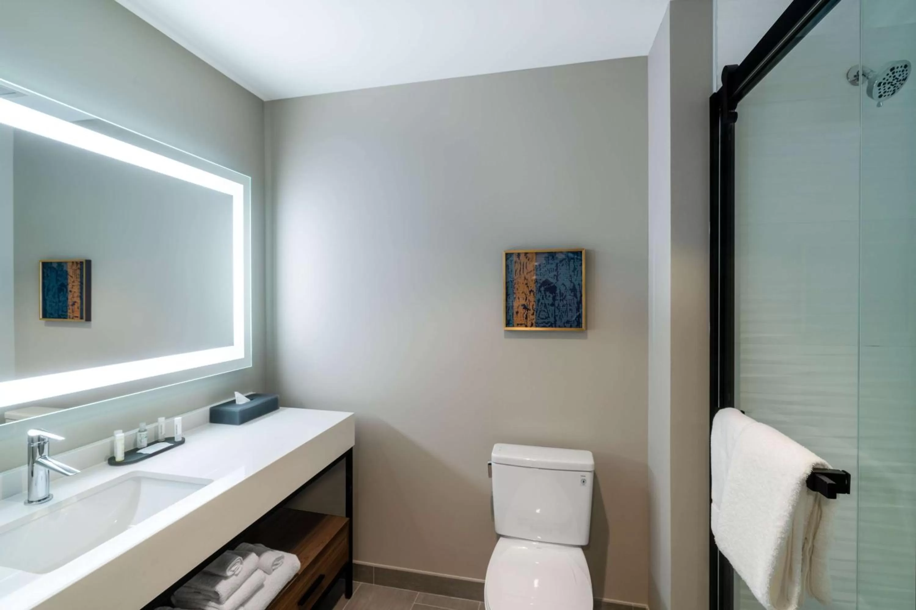 Photo of the whole room in La Quinta Inn & Suites by Wyndham Nashville Downtown Stadium