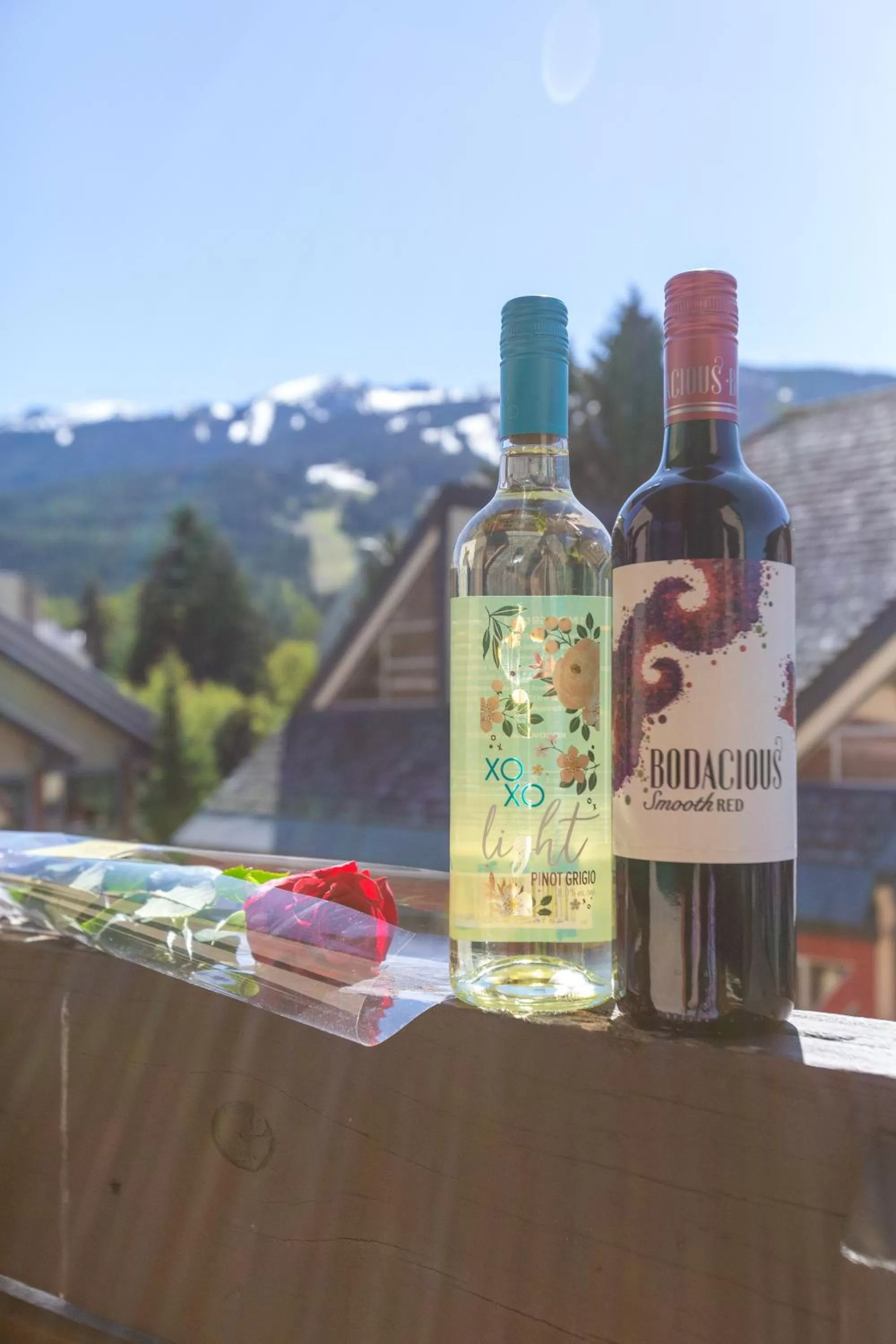 View (from property/room) in Blackcomb Lodge