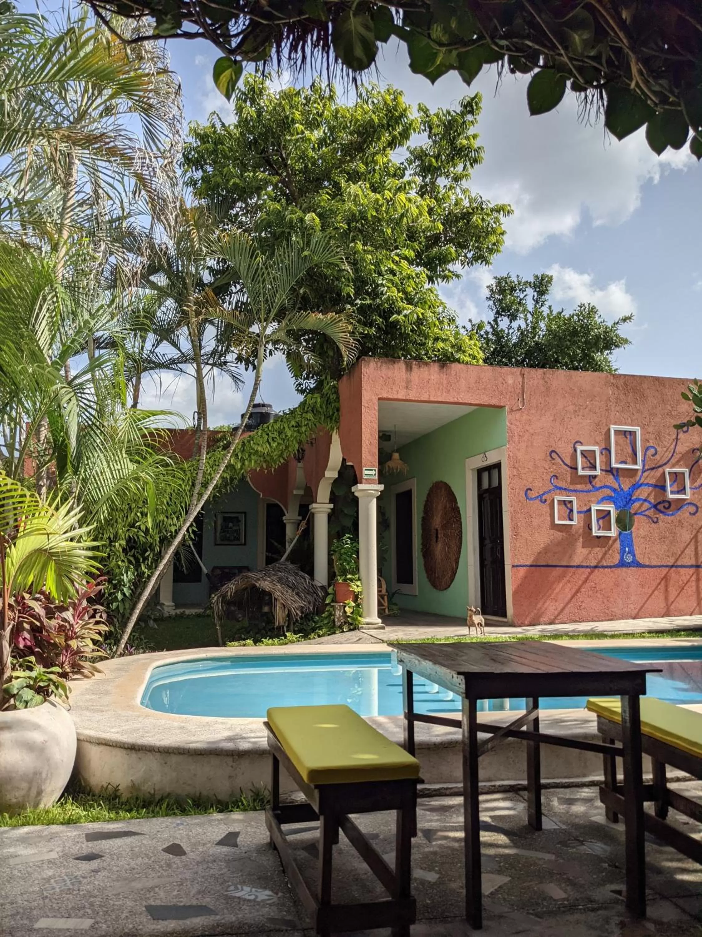 Restaurant/places to eat in Casa Aluxes Hotel