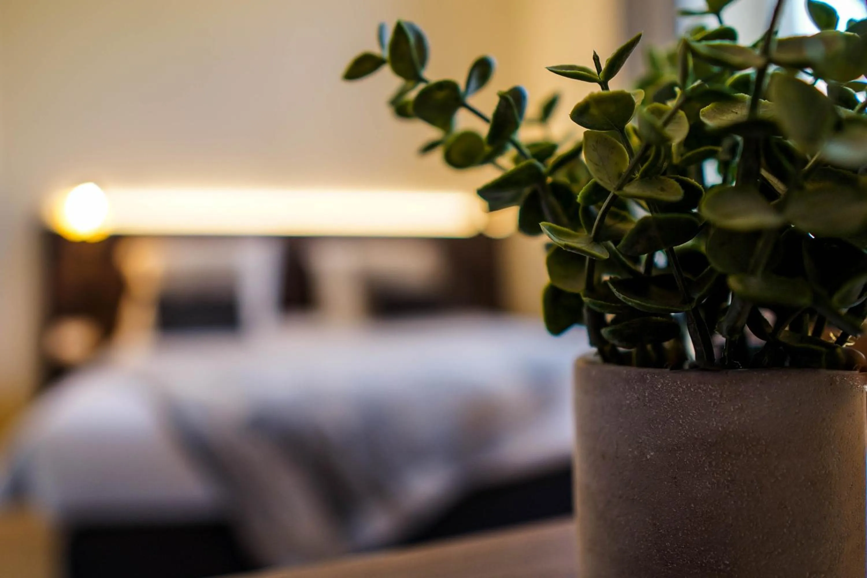 Decorative detail, Bed in Hotel Gravensteen