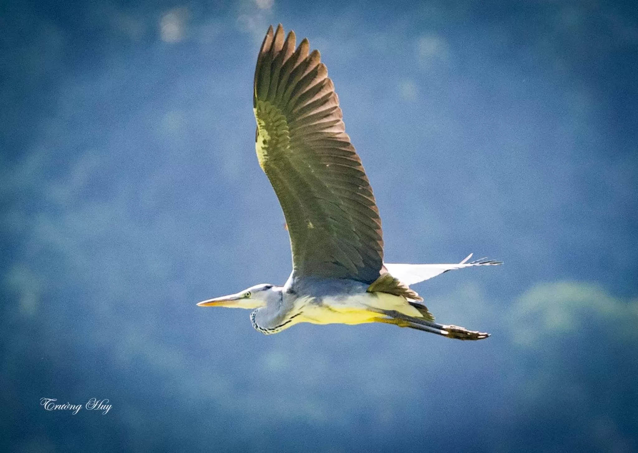 Natural landscape in Thung Nham Resort