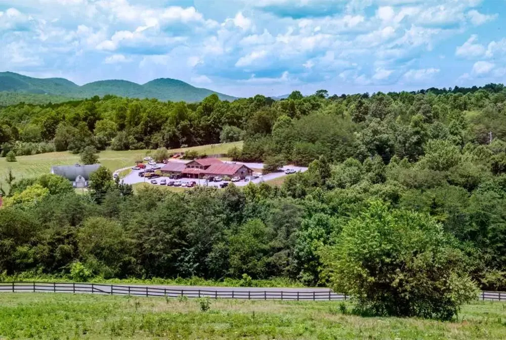 Horse-riding, Bird's-eye View in Brasstown Valley Resort & Spa