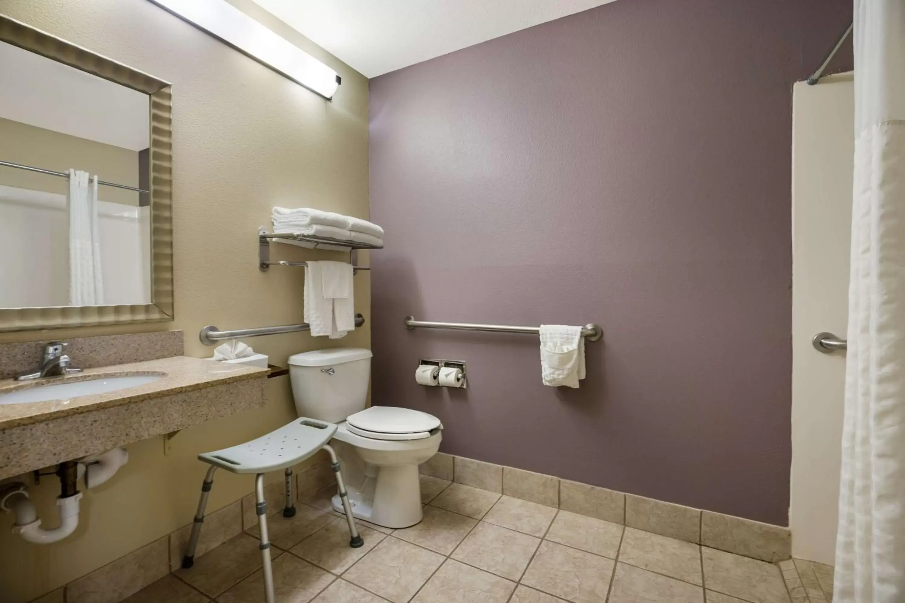 Bathroom in Best Western Morgan City Inn