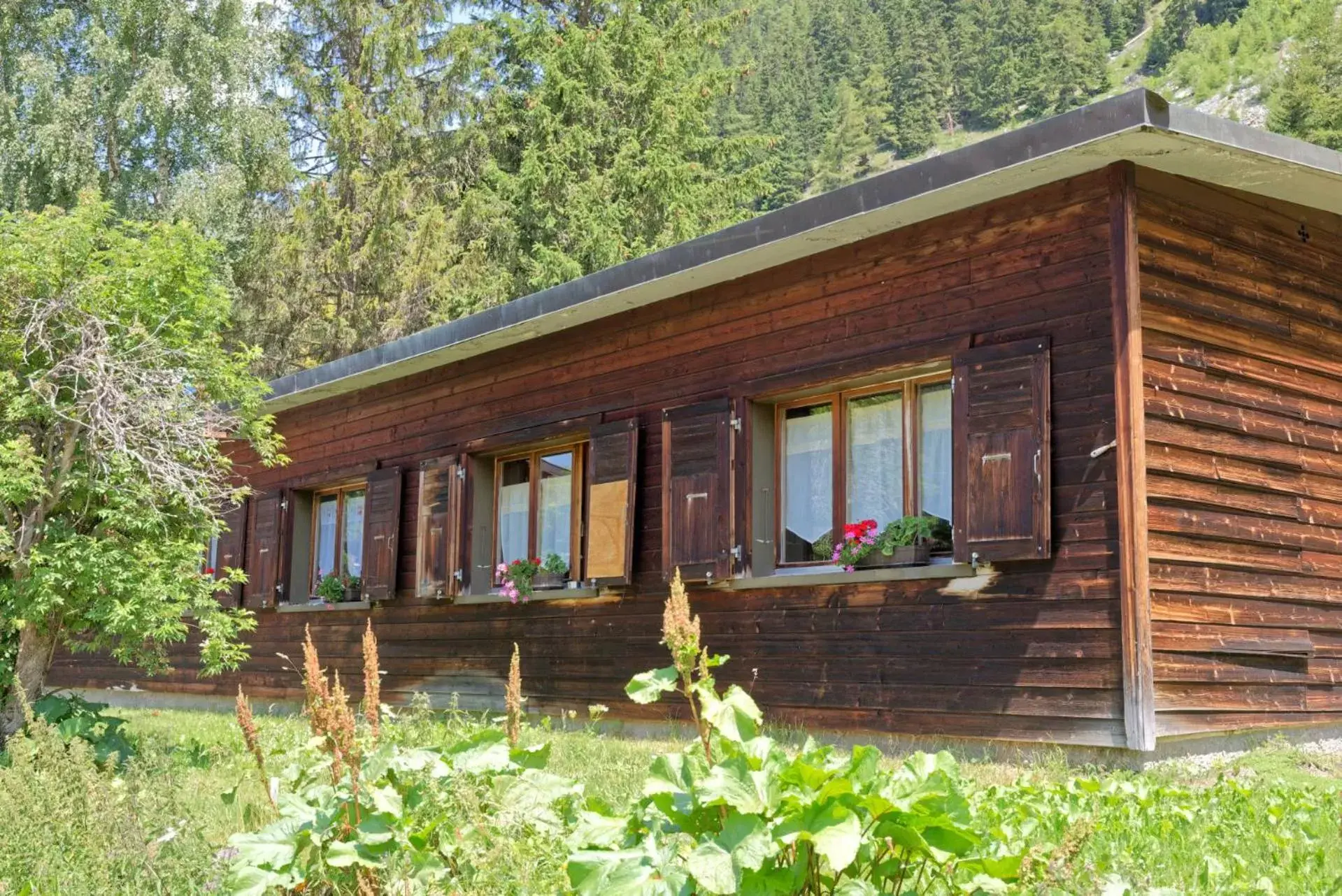 Property Building in Motel Bivouac de Napoléon