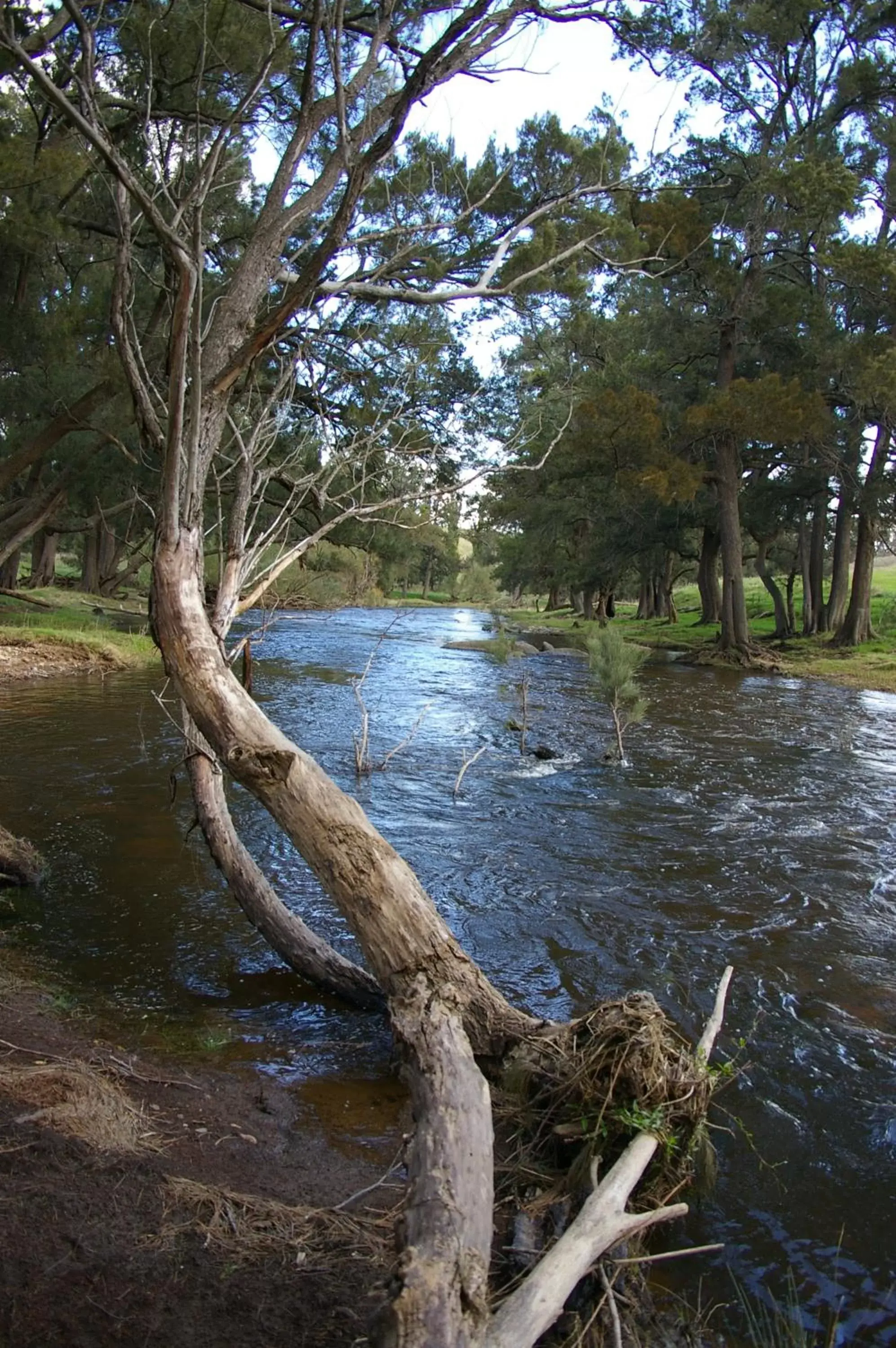 Natural Landscape in Titania Motel