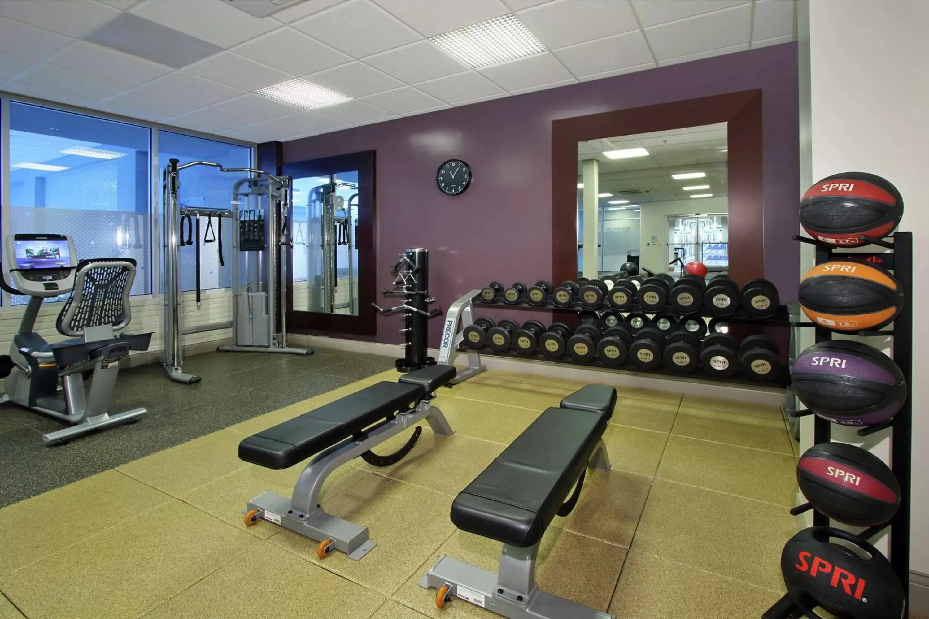 Fitness centre/facilities, Fitness Center/Facilities in Doubletree by Hilton Newark