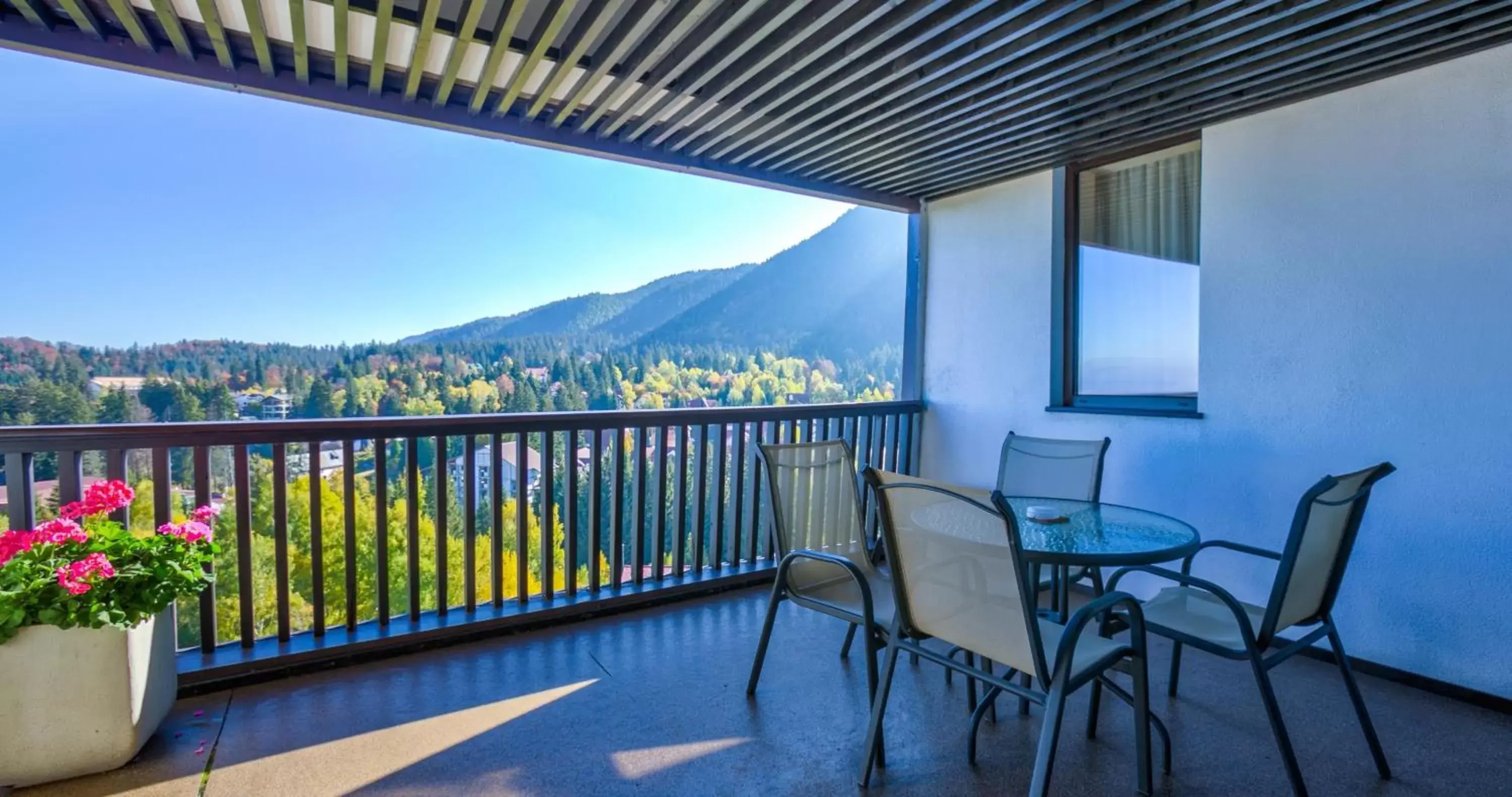 Balcony/Terrace in Alpin Resort Hotel