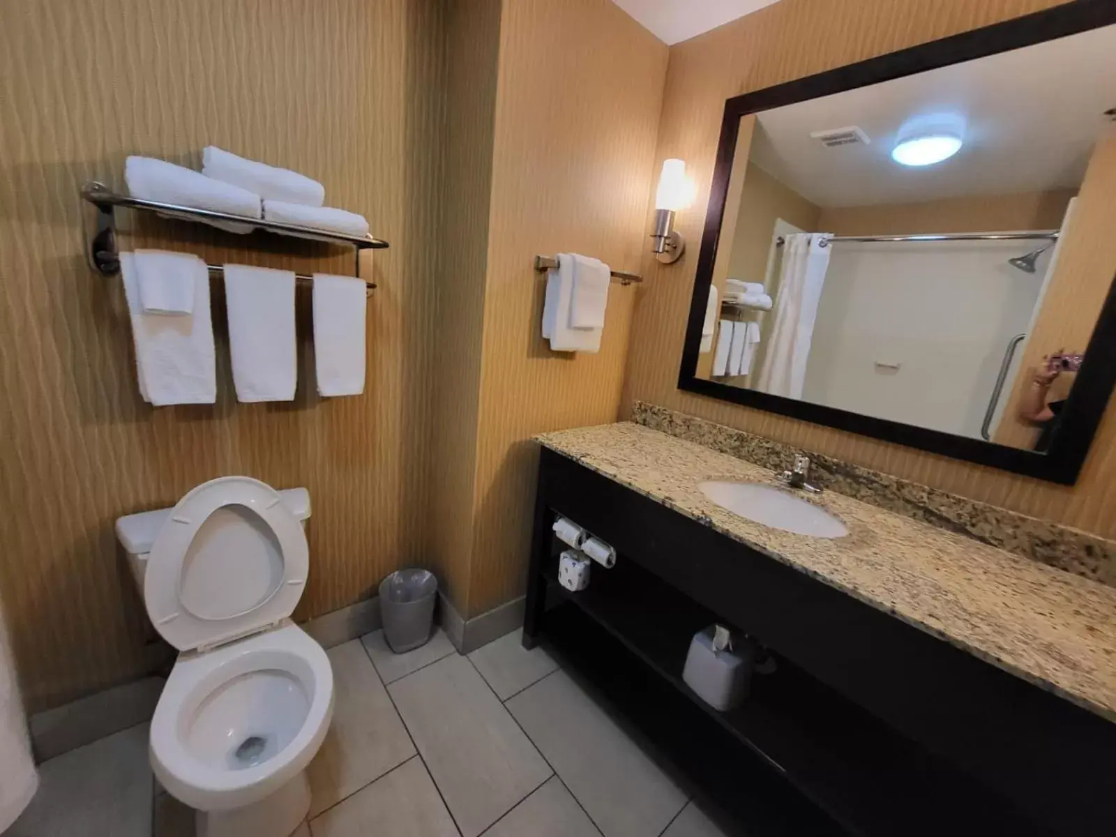 Bathroom in Holiday Inn Express & Suites - Smithfield/Selma, an IHG Hotel