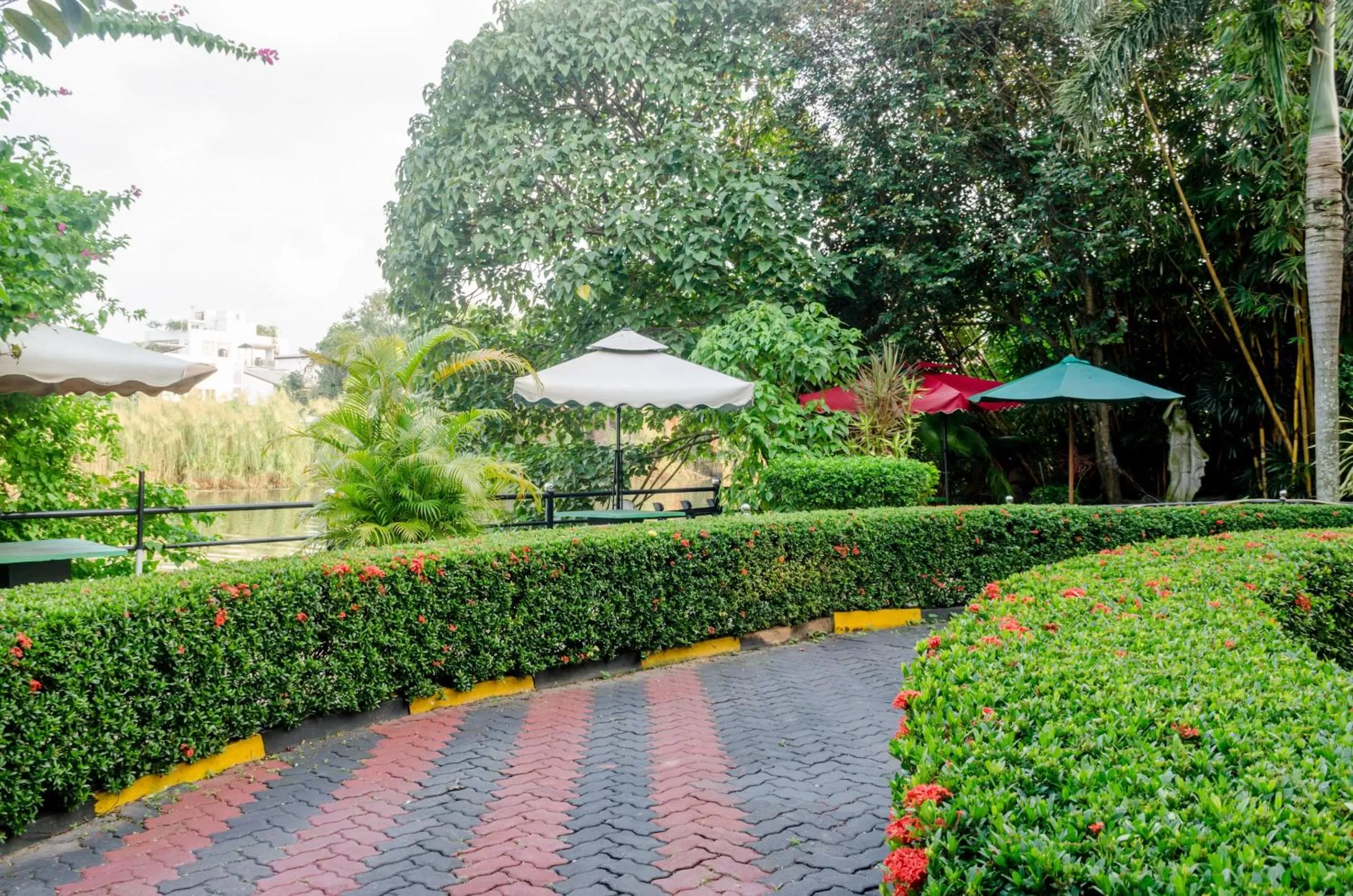 Garden in Opulent River Face Hotel