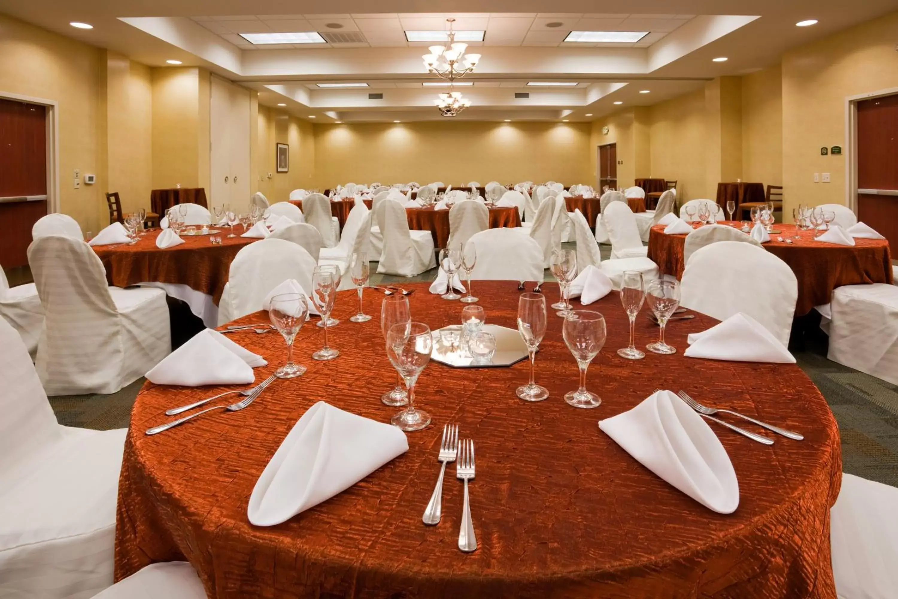 Banquet/Function facilities, Banquet Facilities in Holiday Inn Madison at The American Center, an IHG Hotel