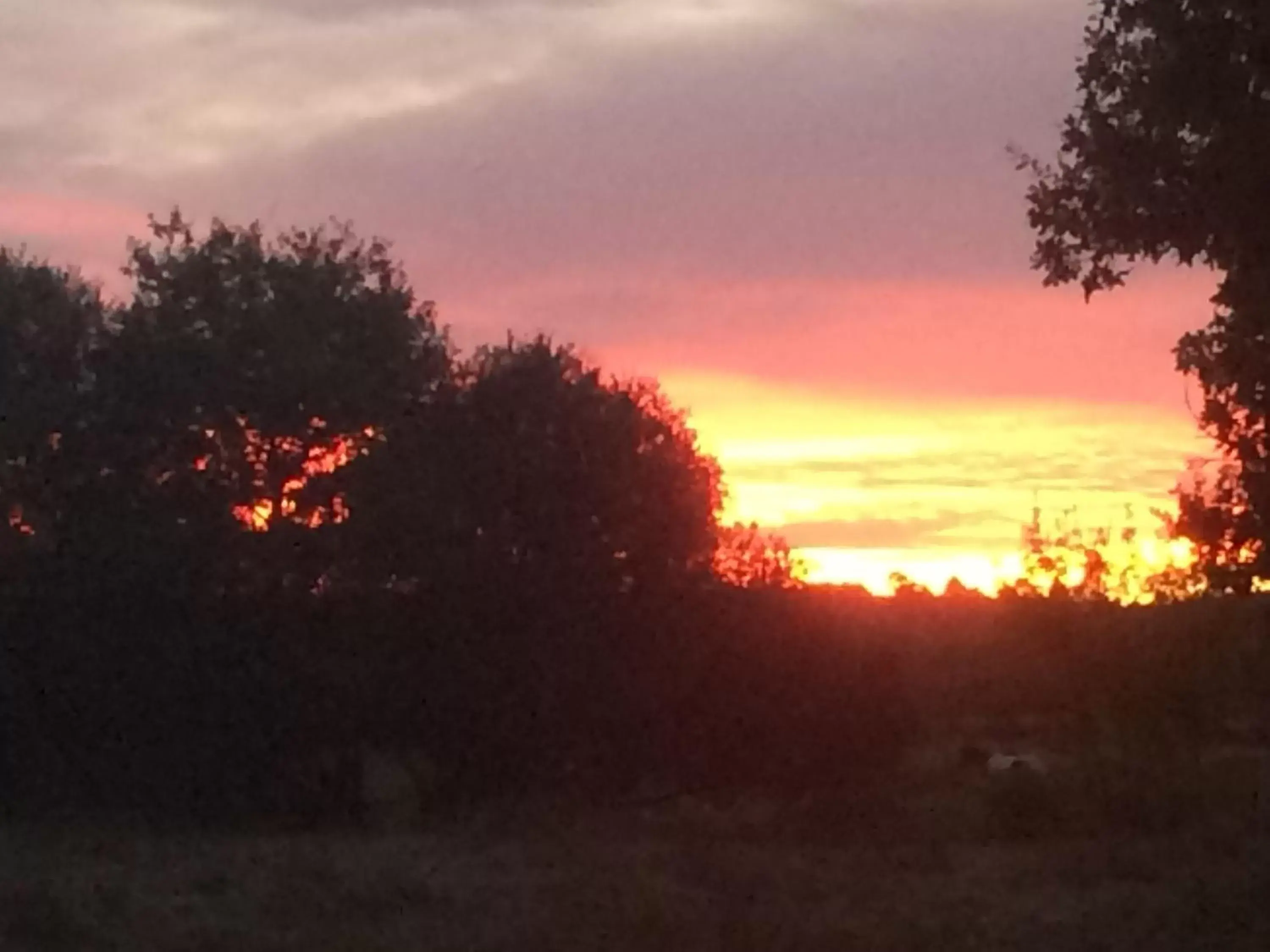 Natural landscape, Sunrise/Sunset in Chambres d'Hôtes 1001 NUITS Montalivet