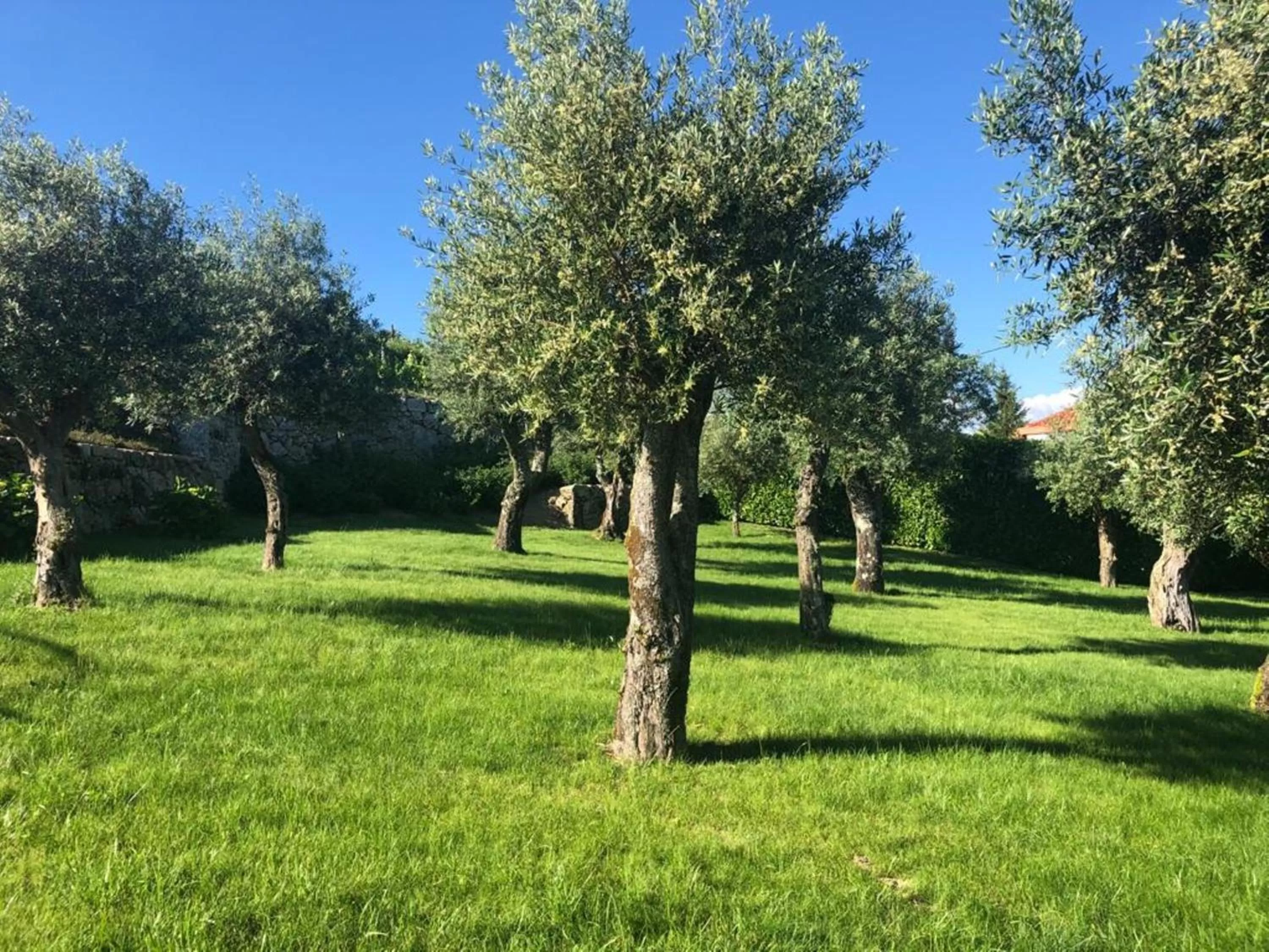 Garden in Casa da Portela de Sampriz