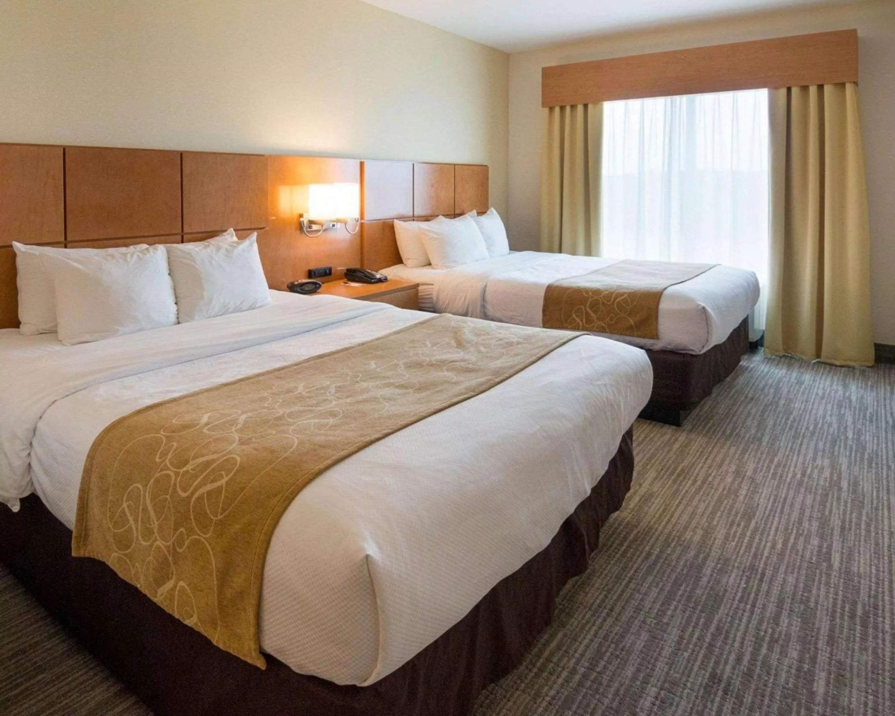 Photo of the whole room, Bed in Comfort Suites Bossier City - Shreveport East