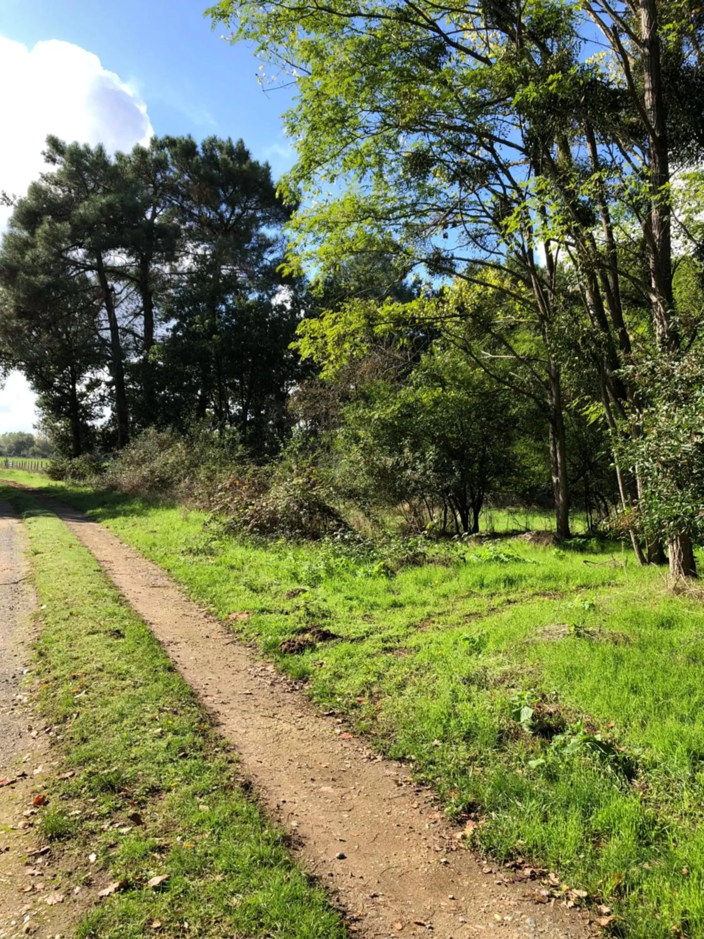 Hiking in La Gouronerie