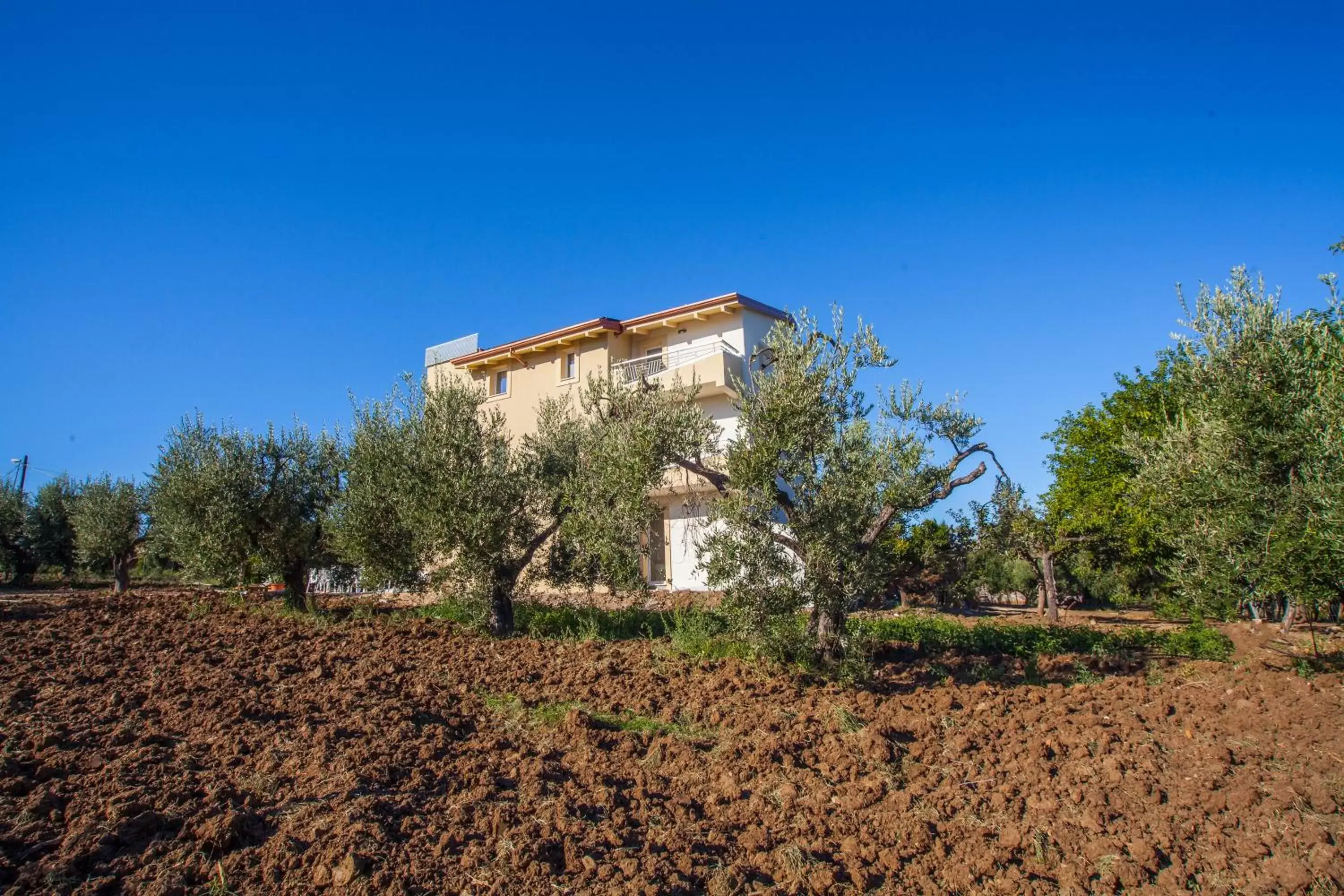 Property building, Garden in Il Gallo Con Gli Stivali