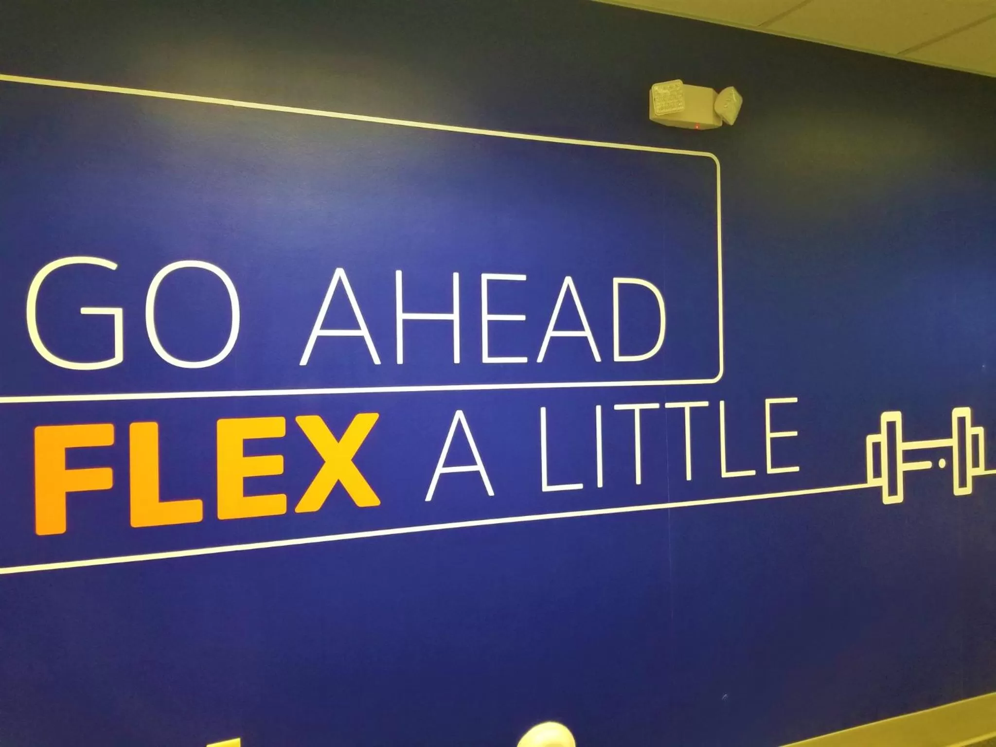 Fitness centre/facilities in Holiday Inn Express Apex - Raleigh by IHG