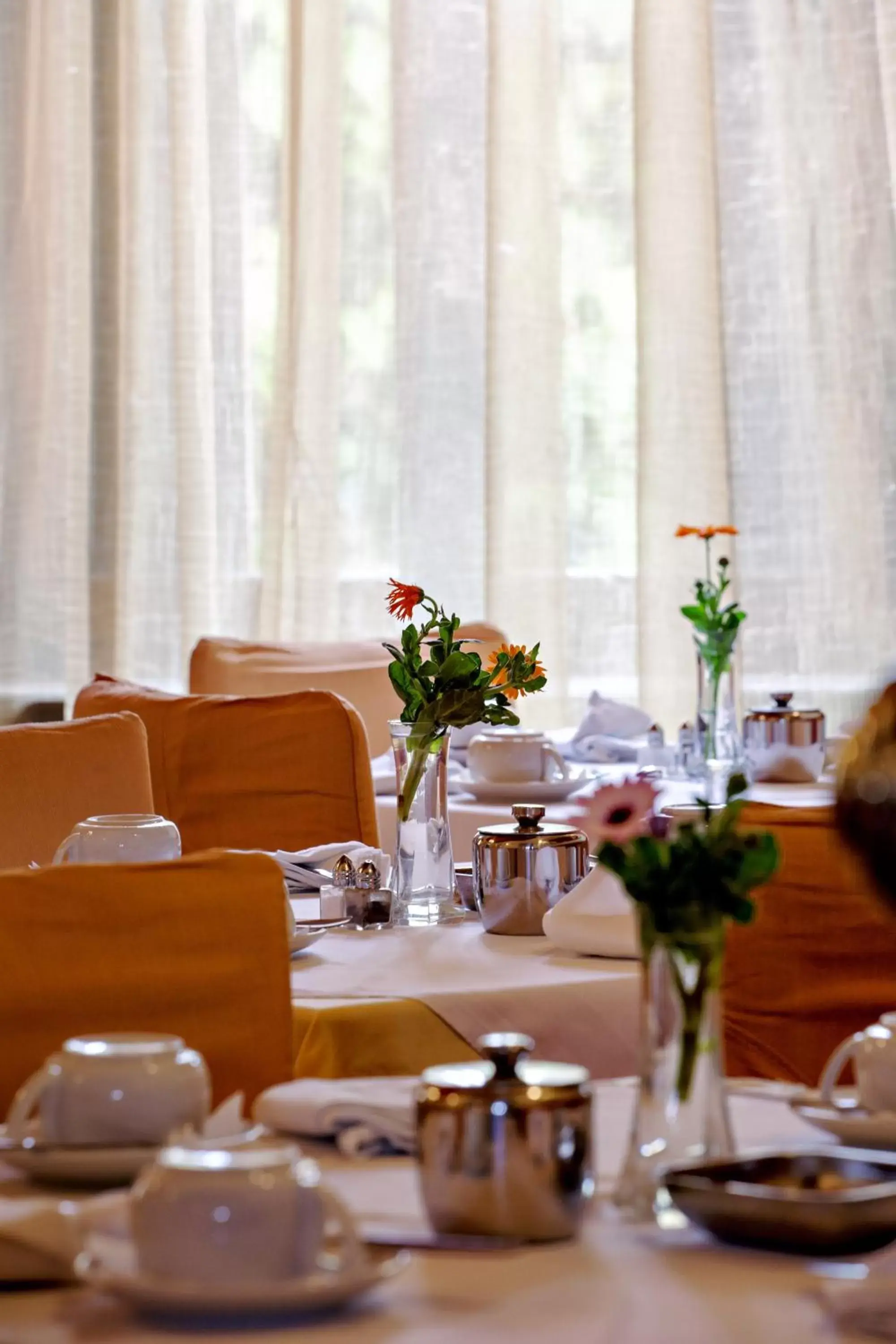 Spring, Banquet Facilities in Halepa Hotel