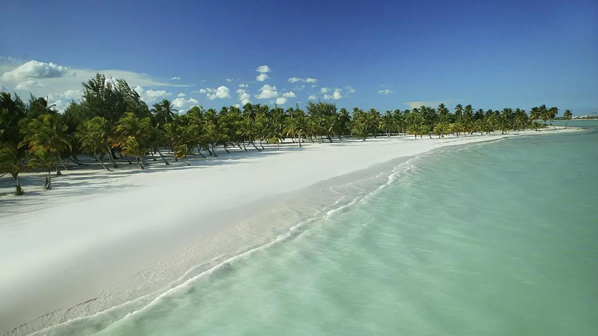 Beach in Corales Punta Cana