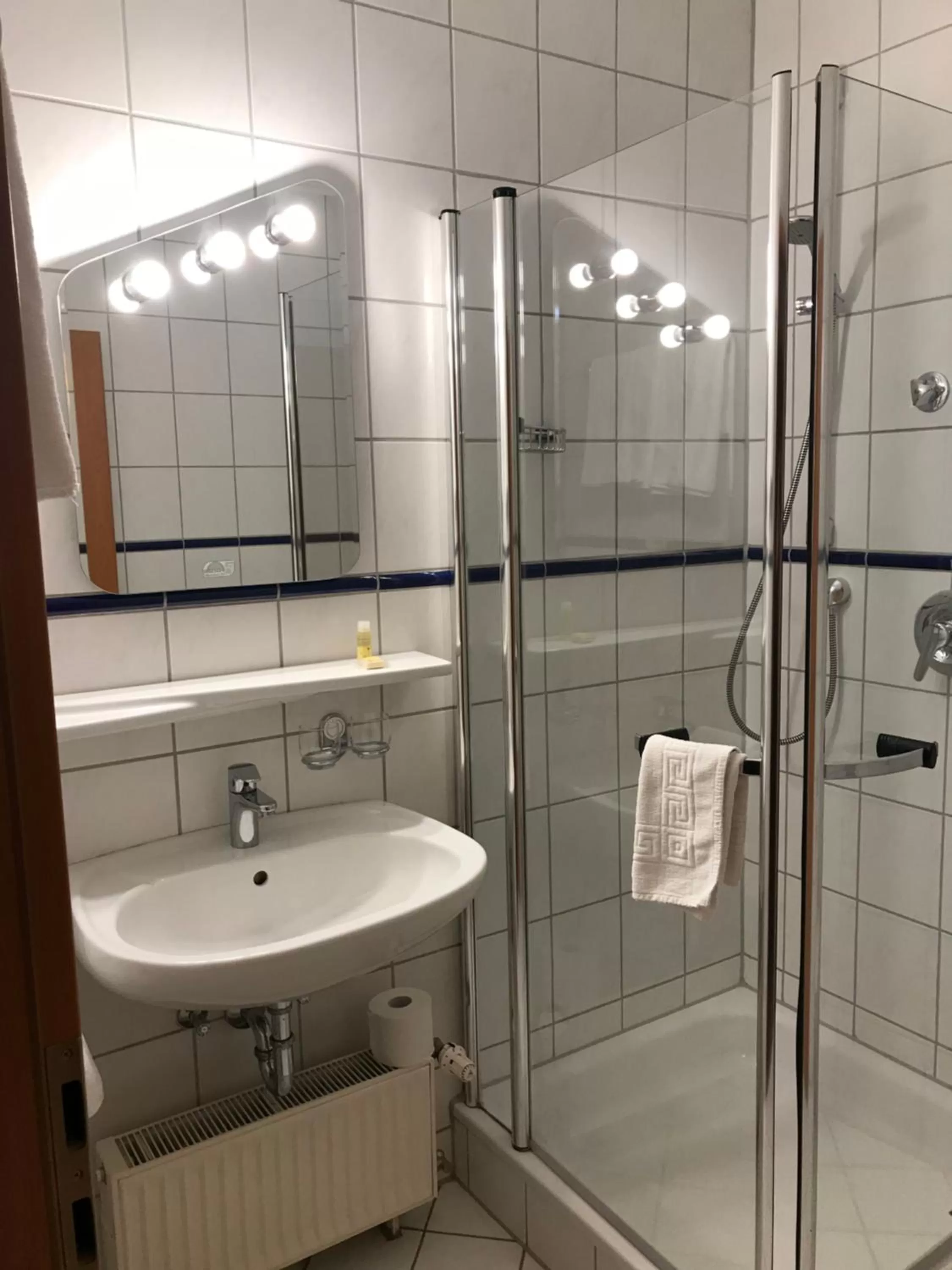 Shower in Hotel-Gasthof Hüttensteinach